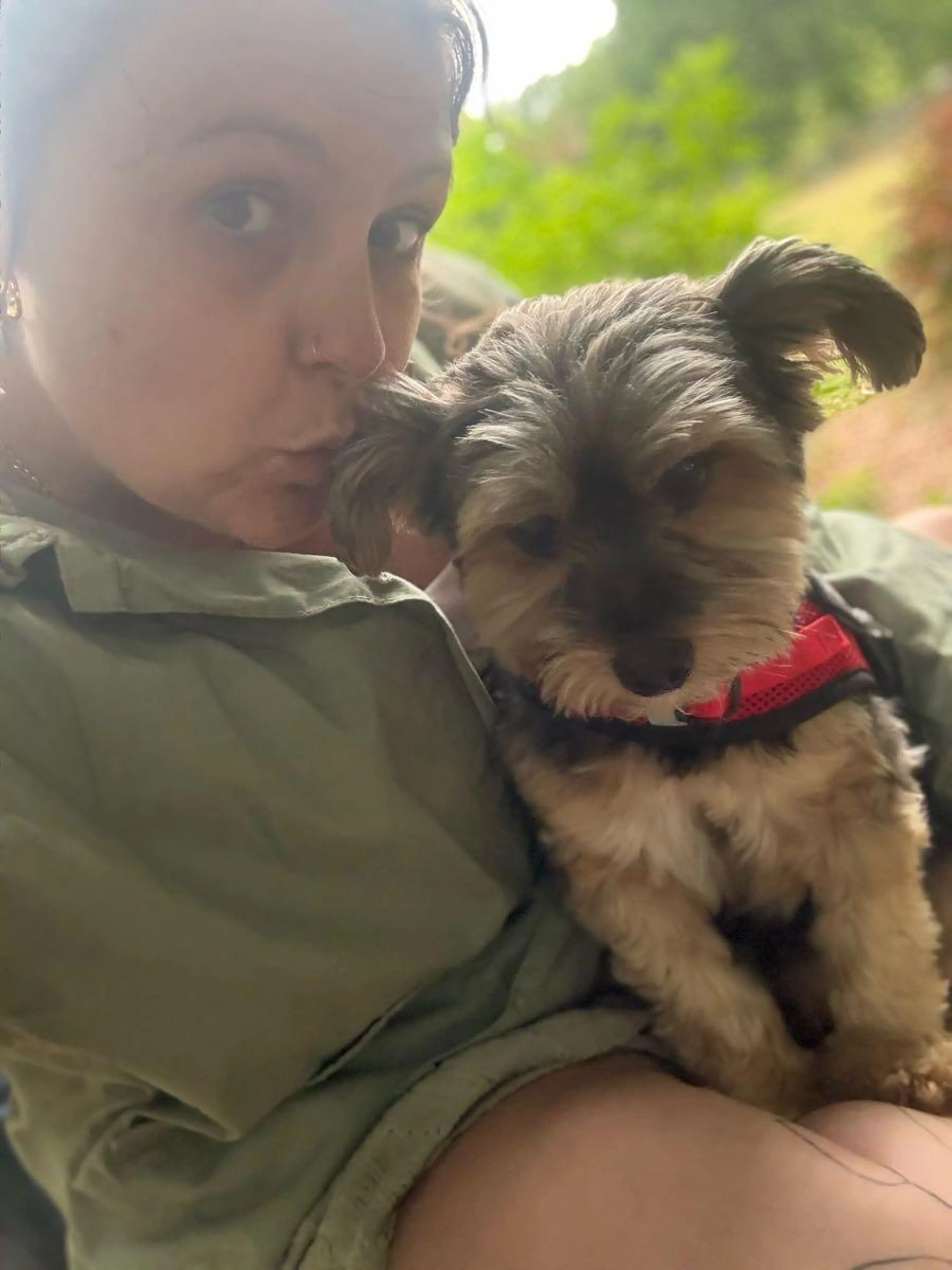 Lost pet