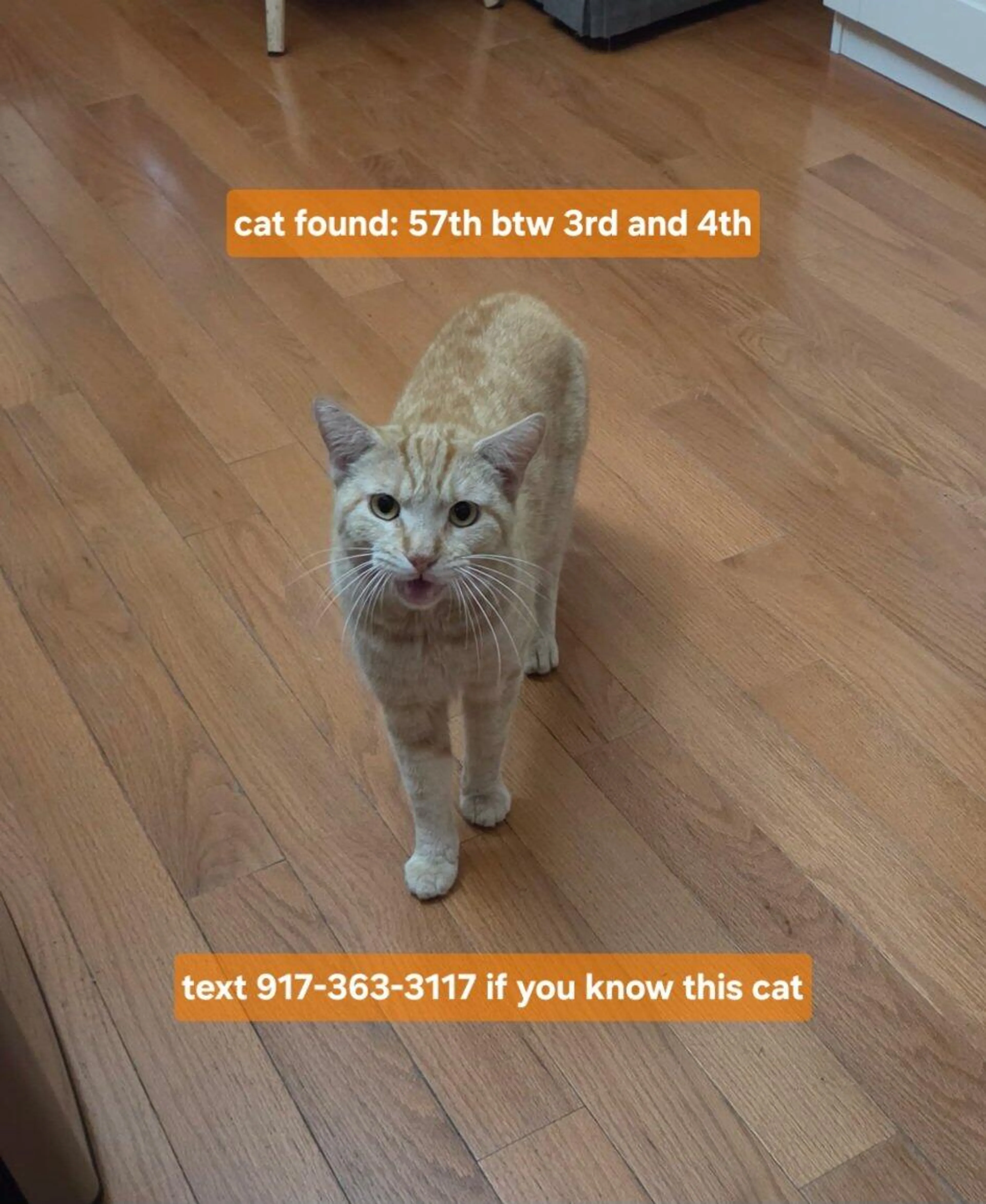 cdn image