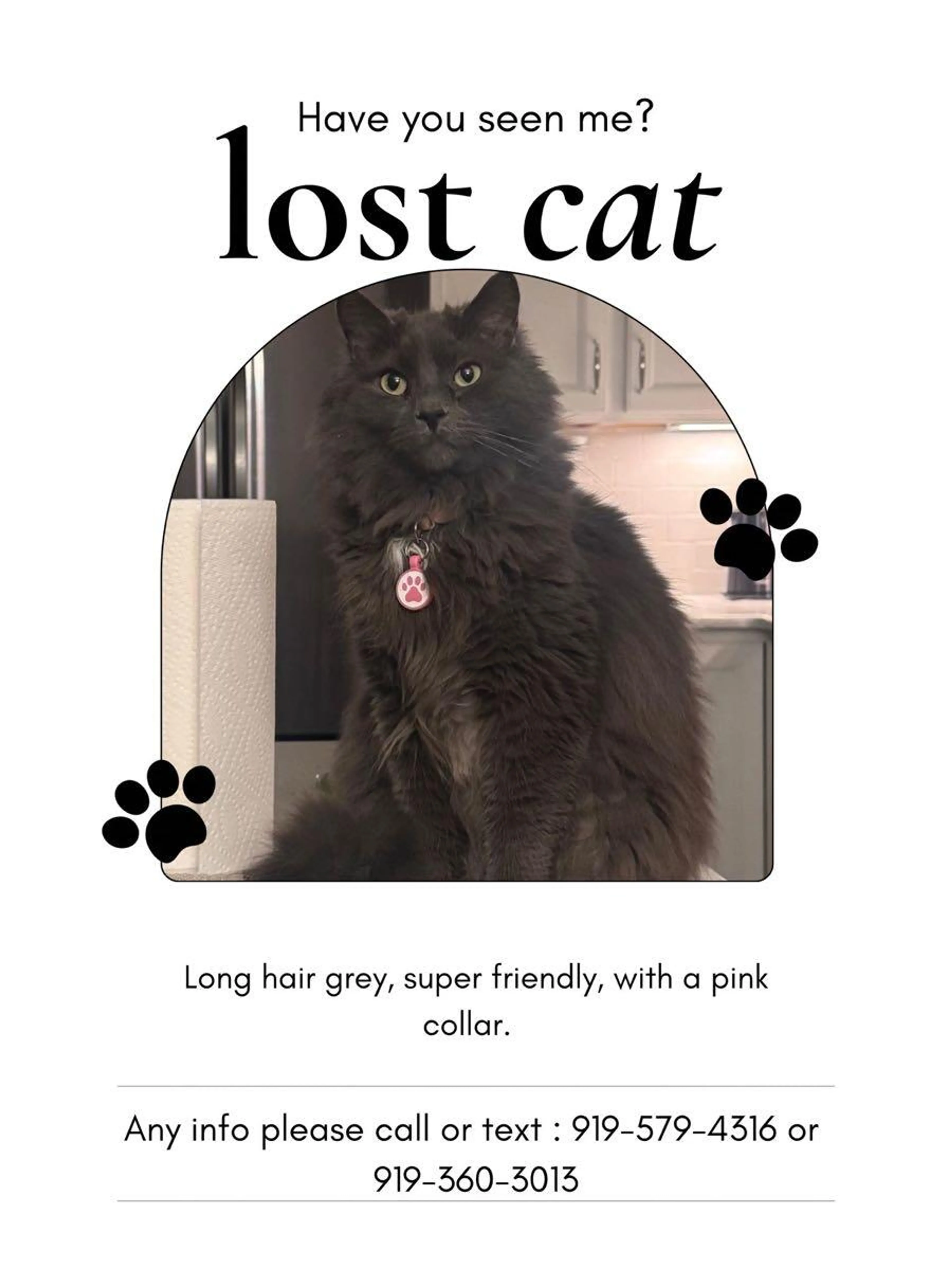 Lost pet