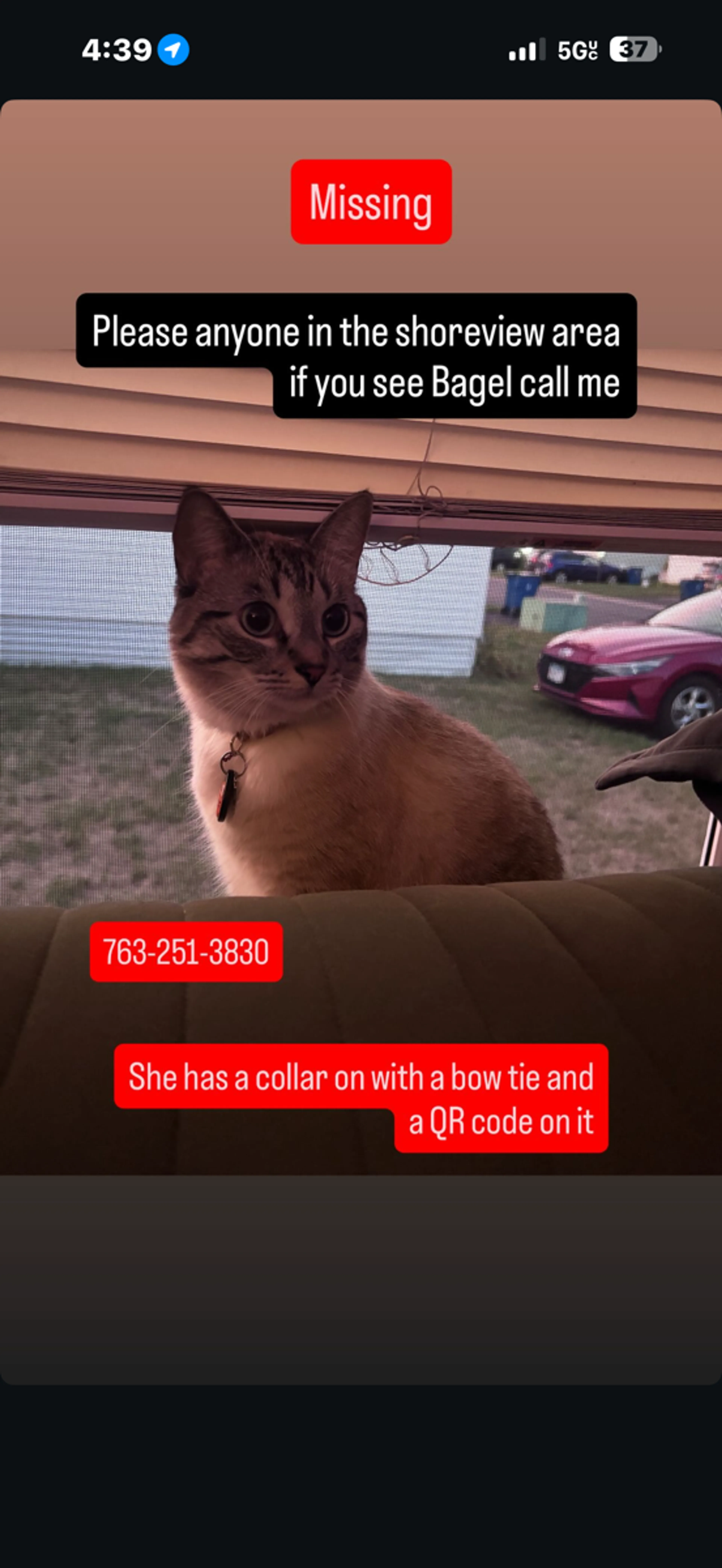 cdn image
