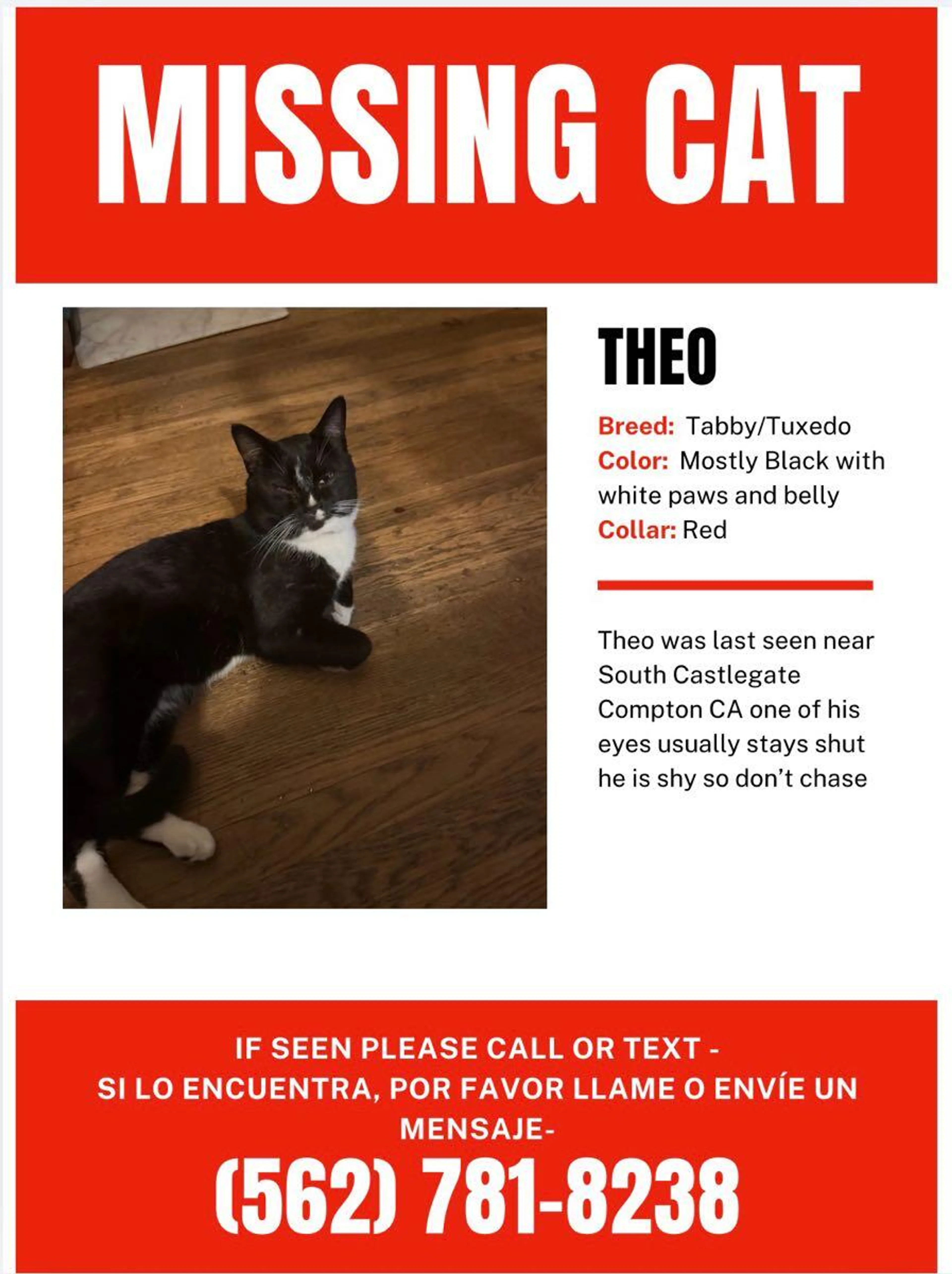 Lost pet