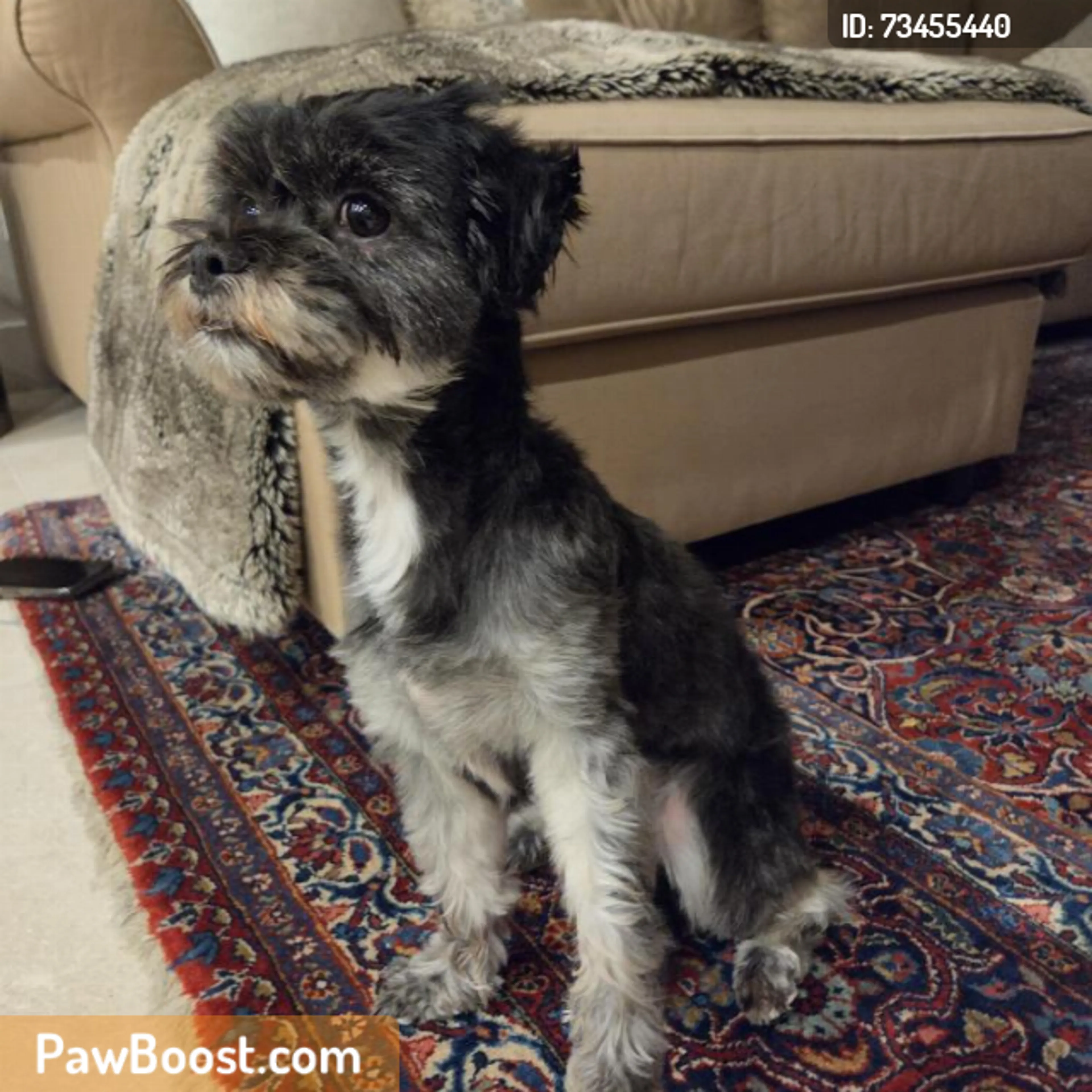 cdn image