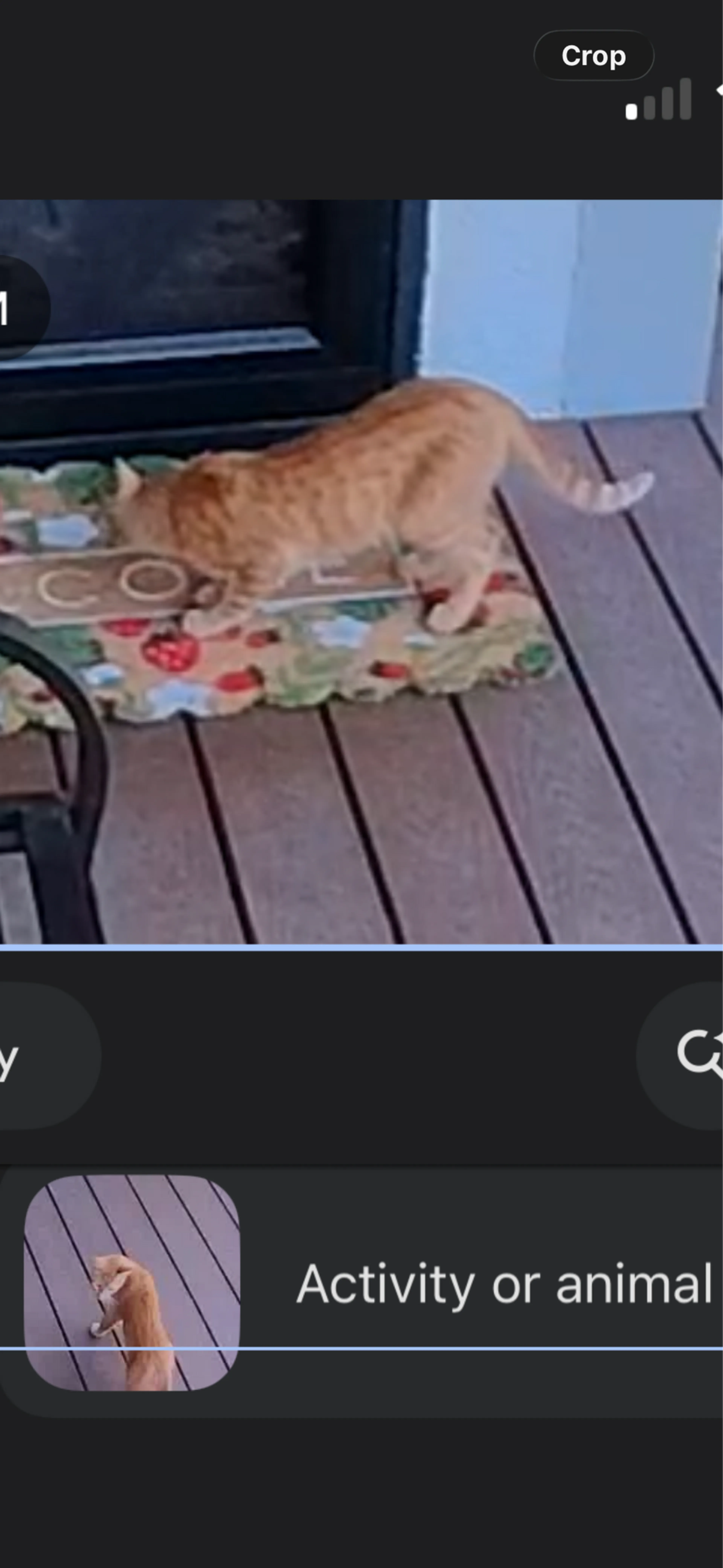 cdn image