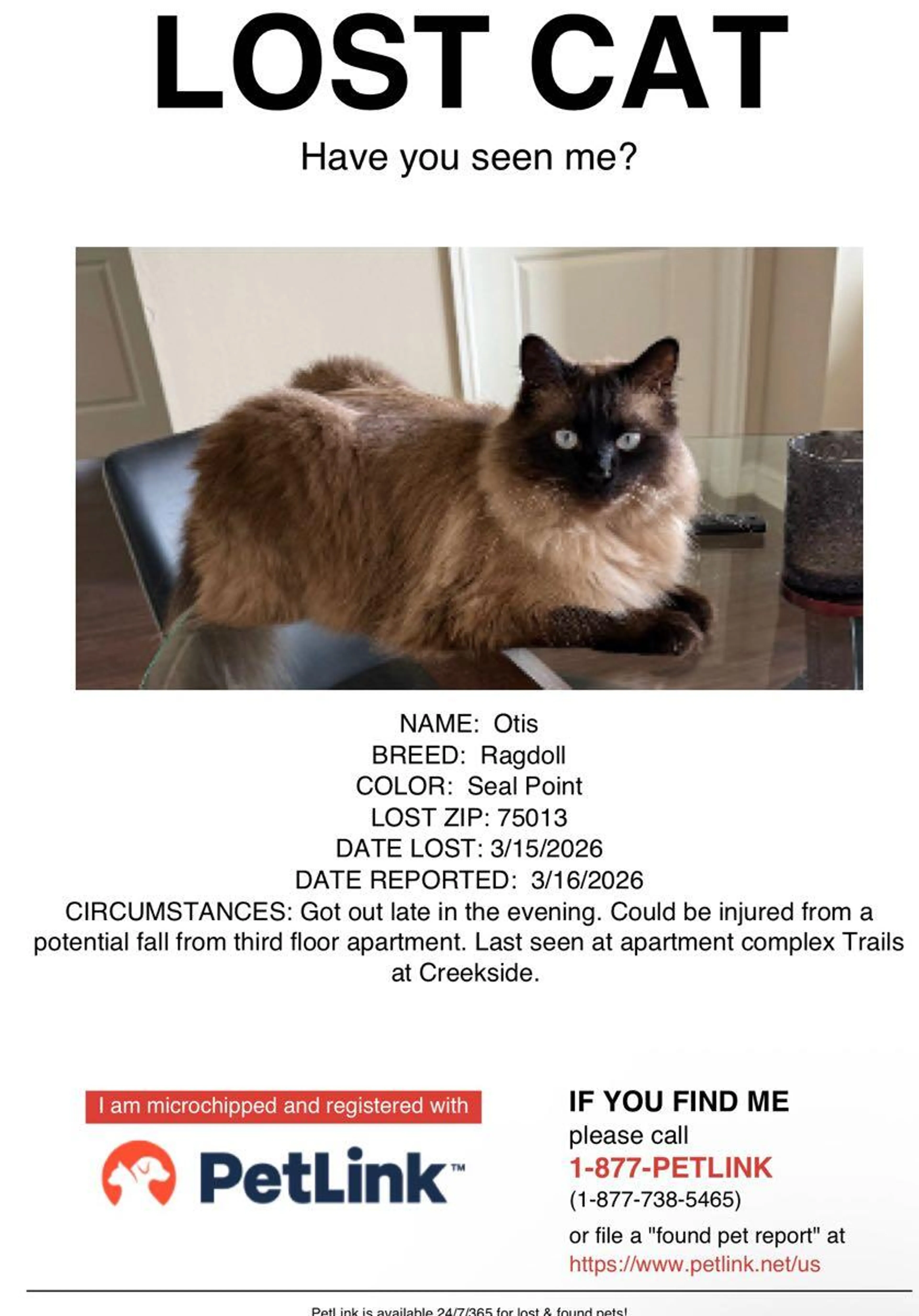 Lost pet