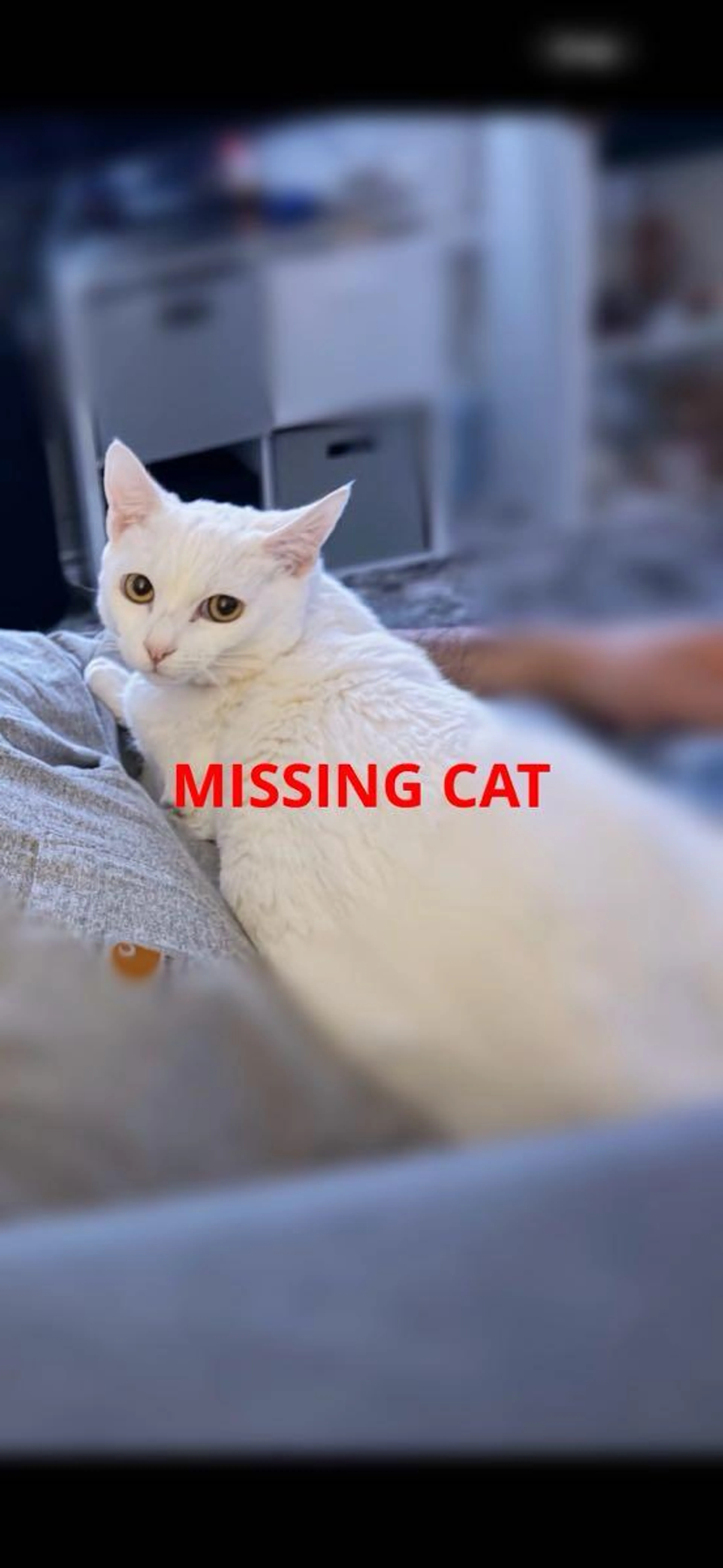cdn image