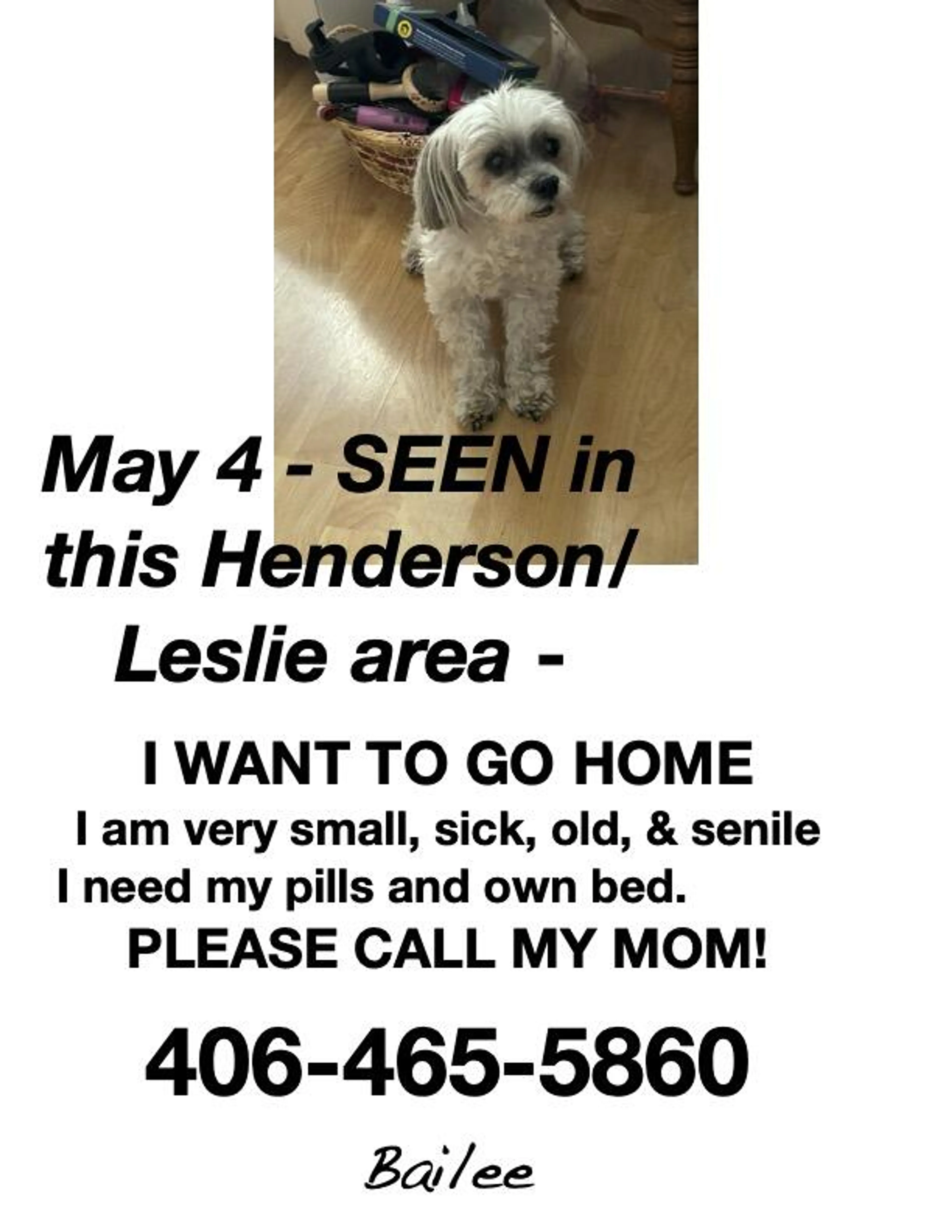 Found pet