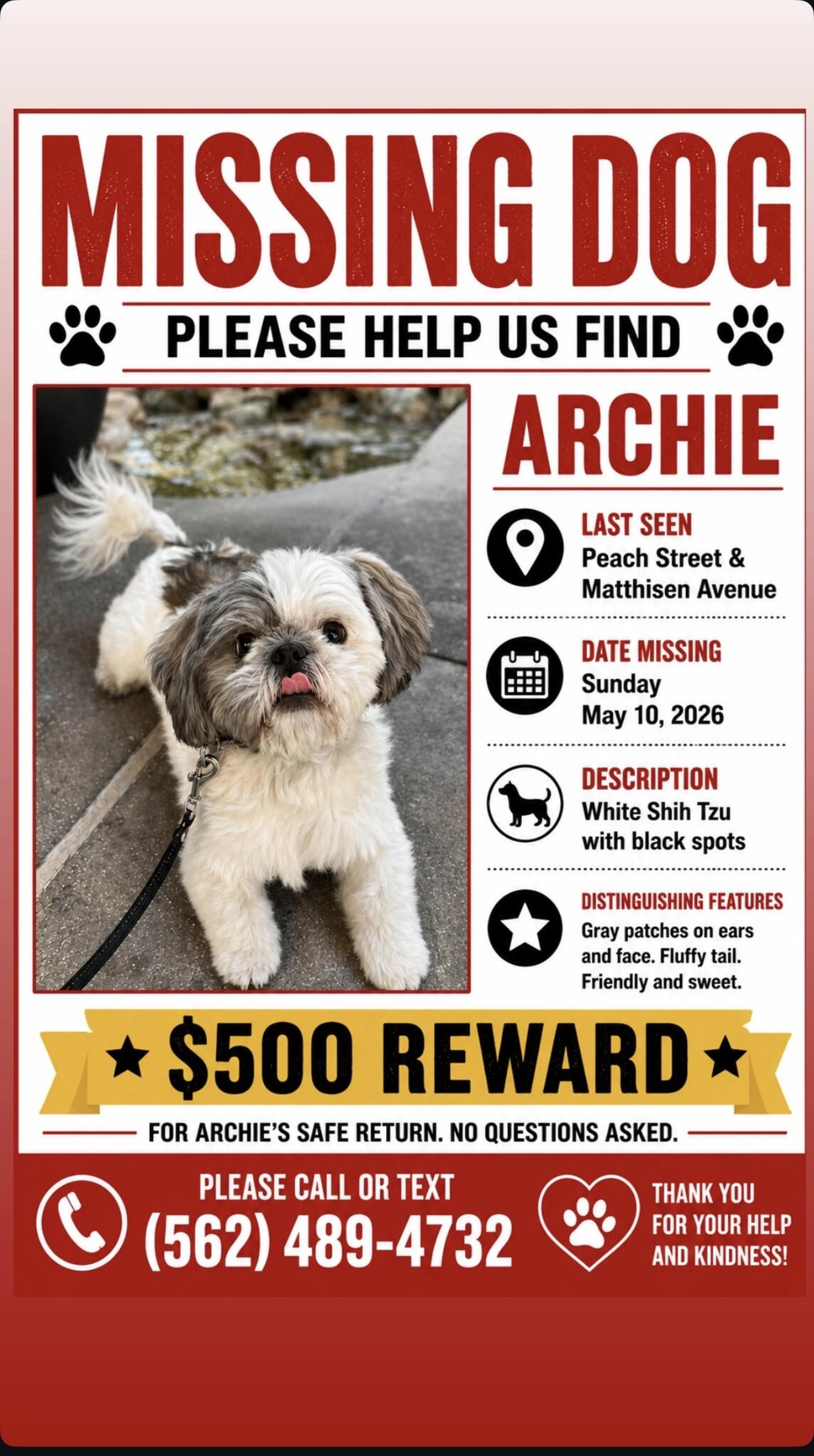Lost pet