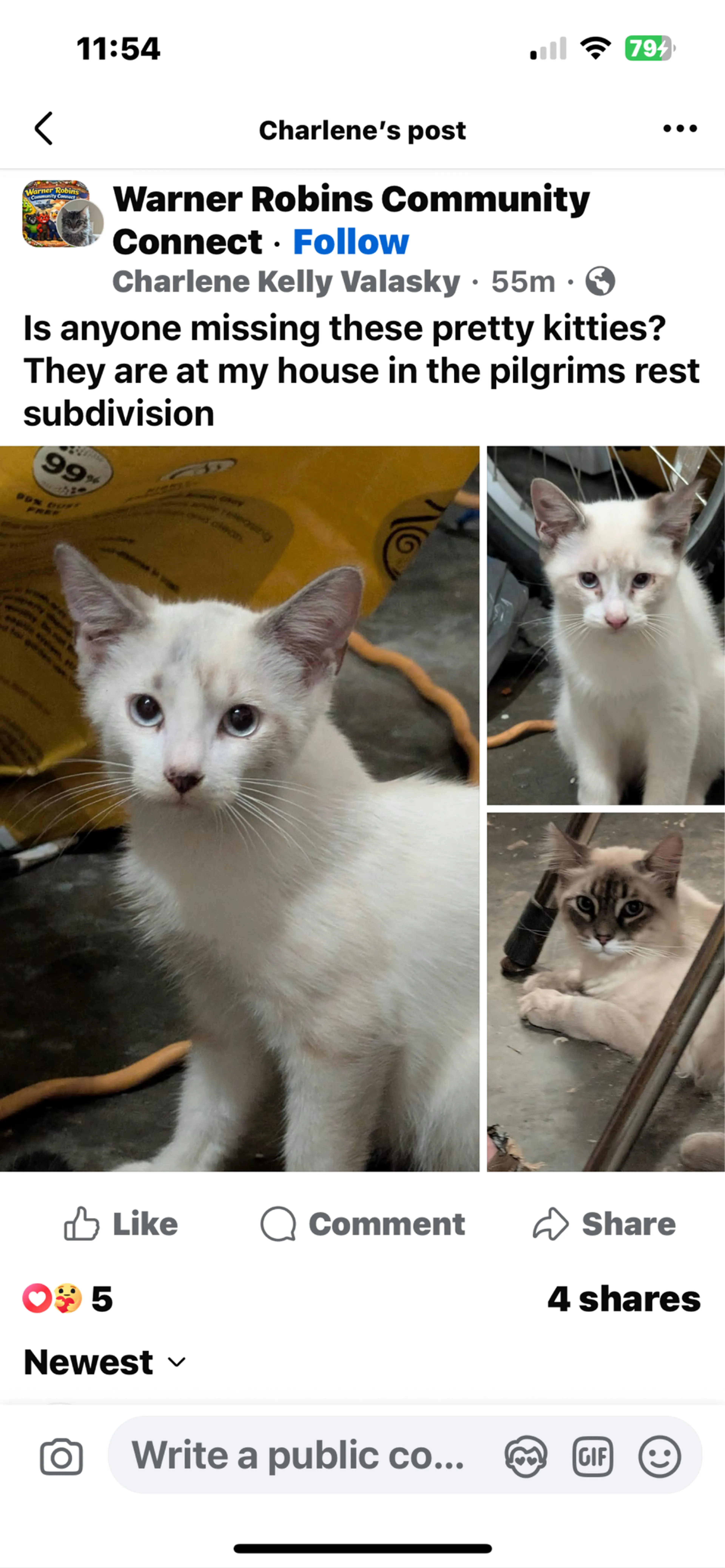 cdn image
