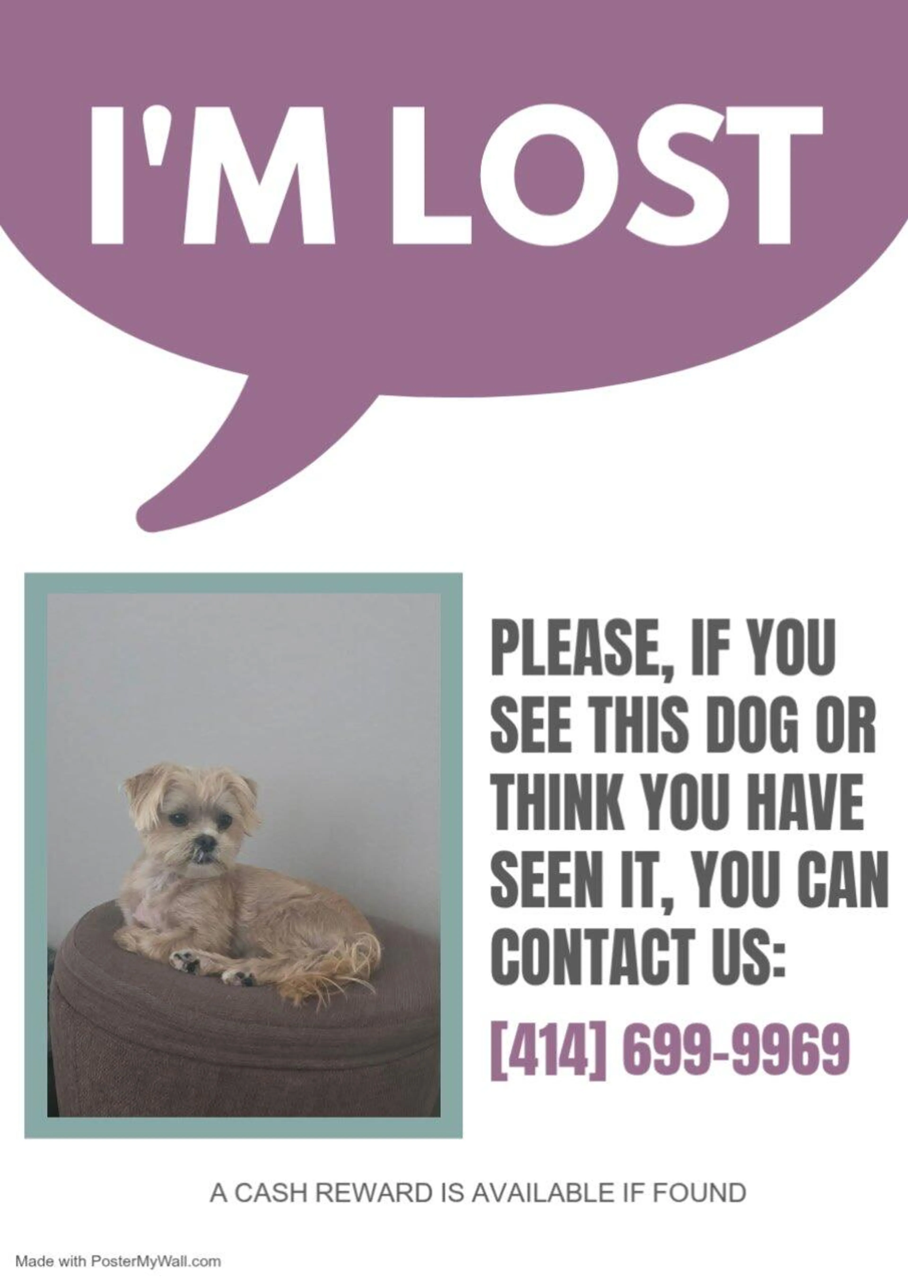 Lost pet