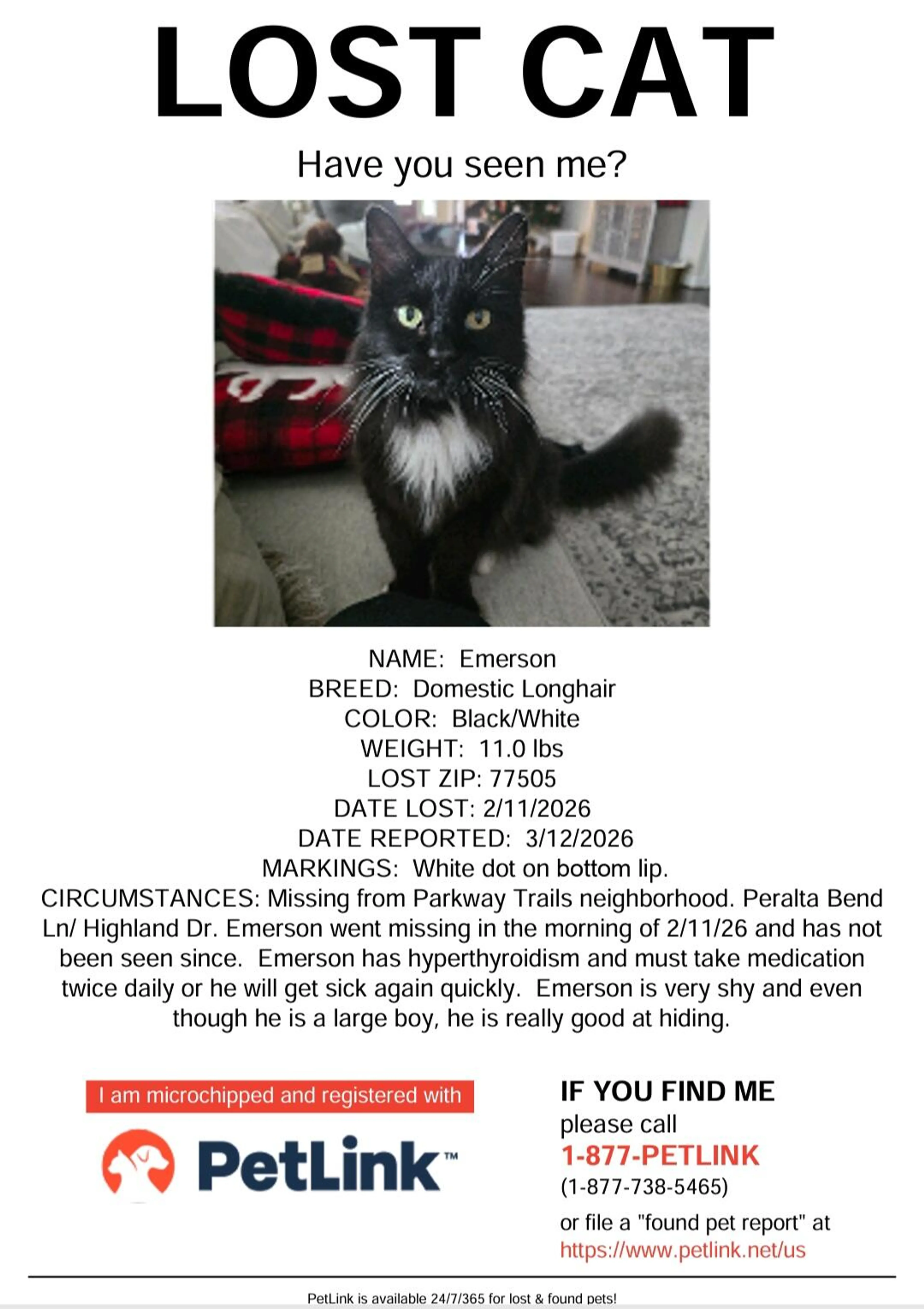 Lost pet