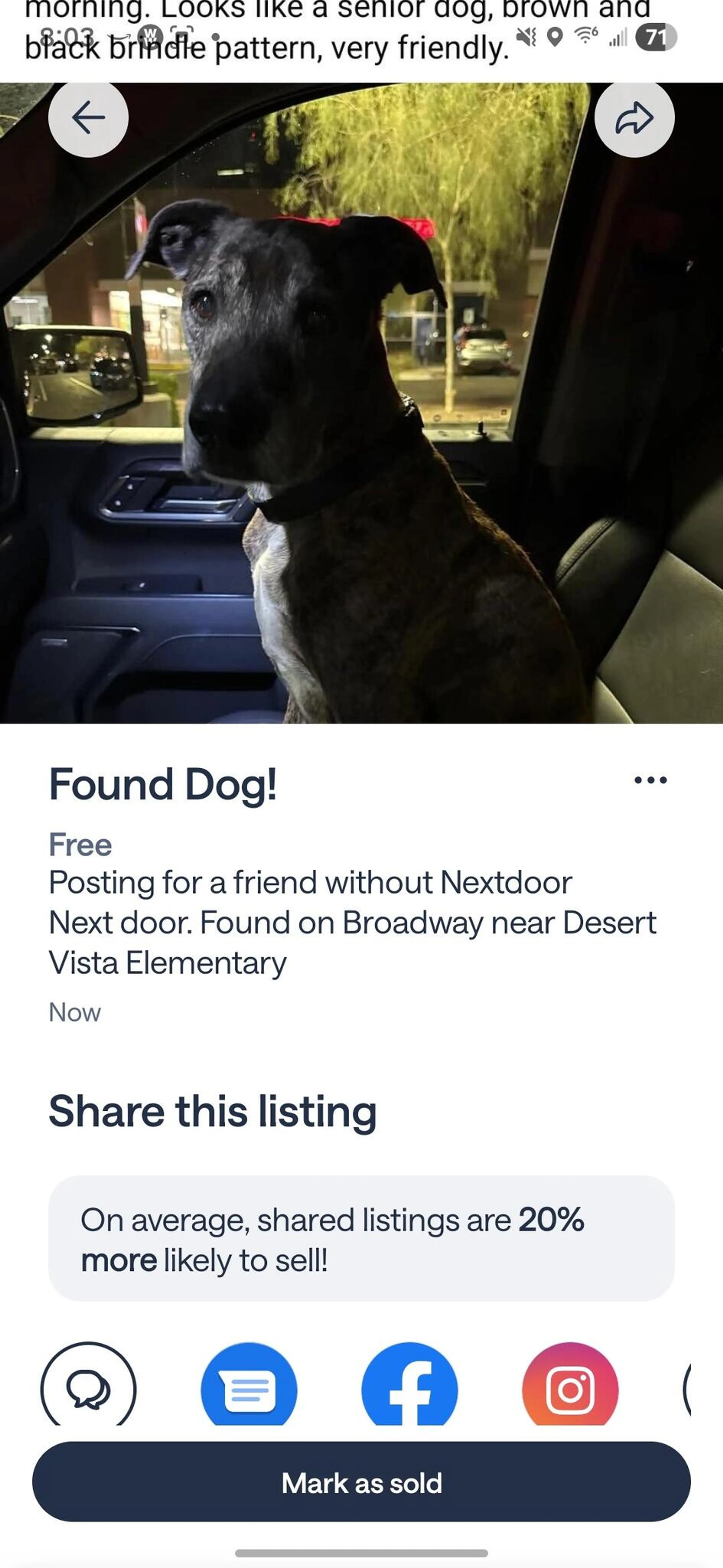 Found pet