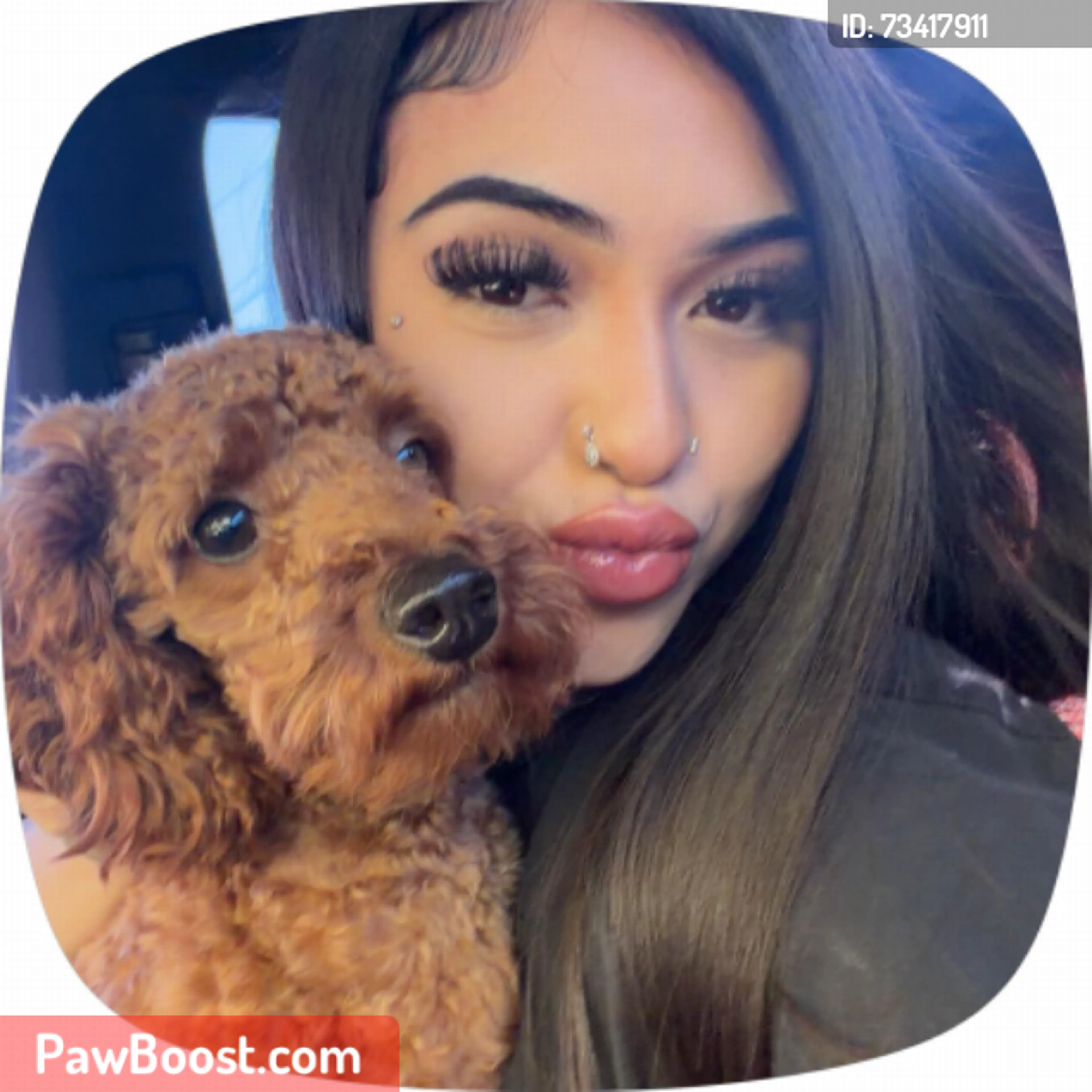 cdn image