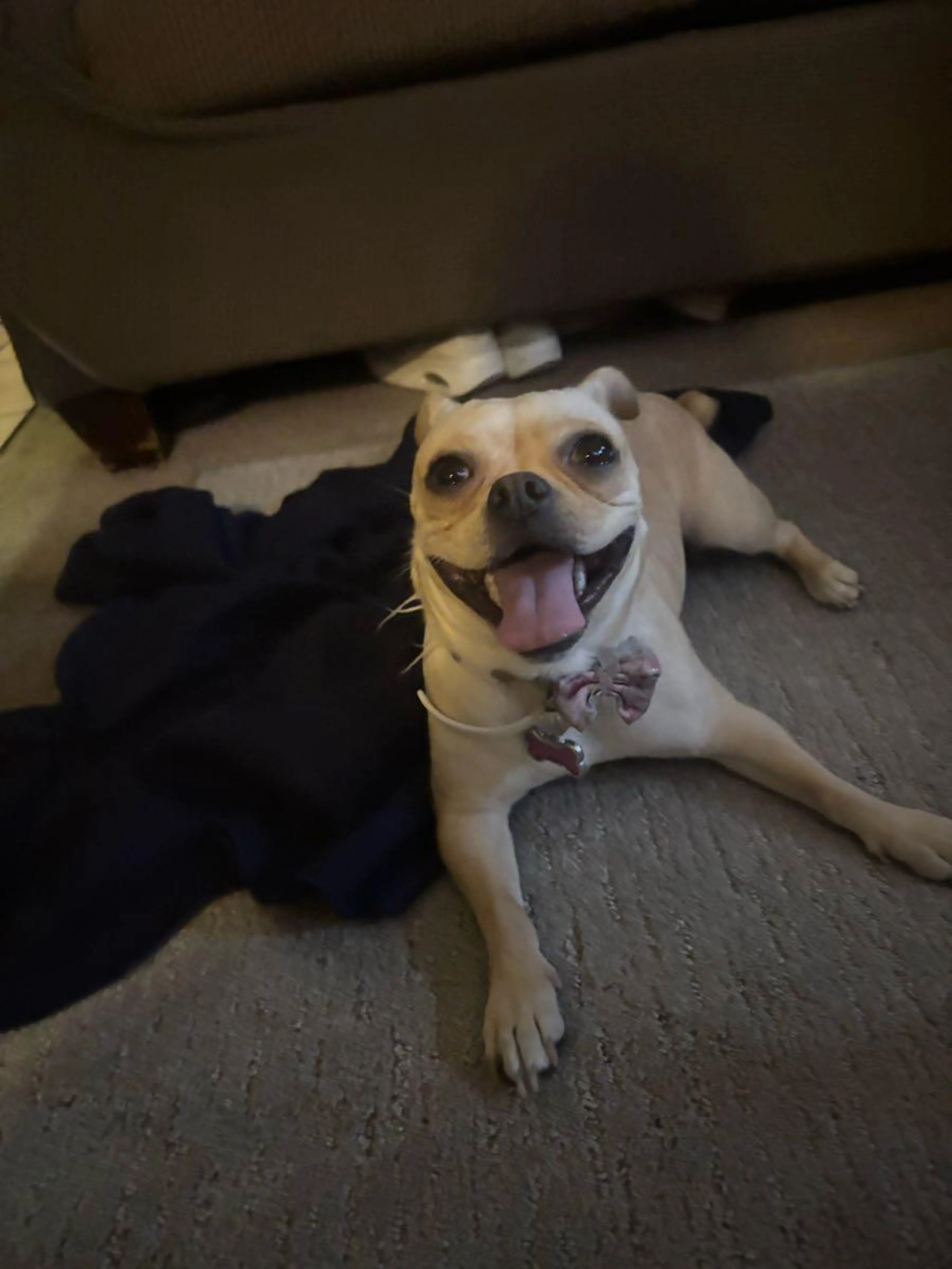 cdn image