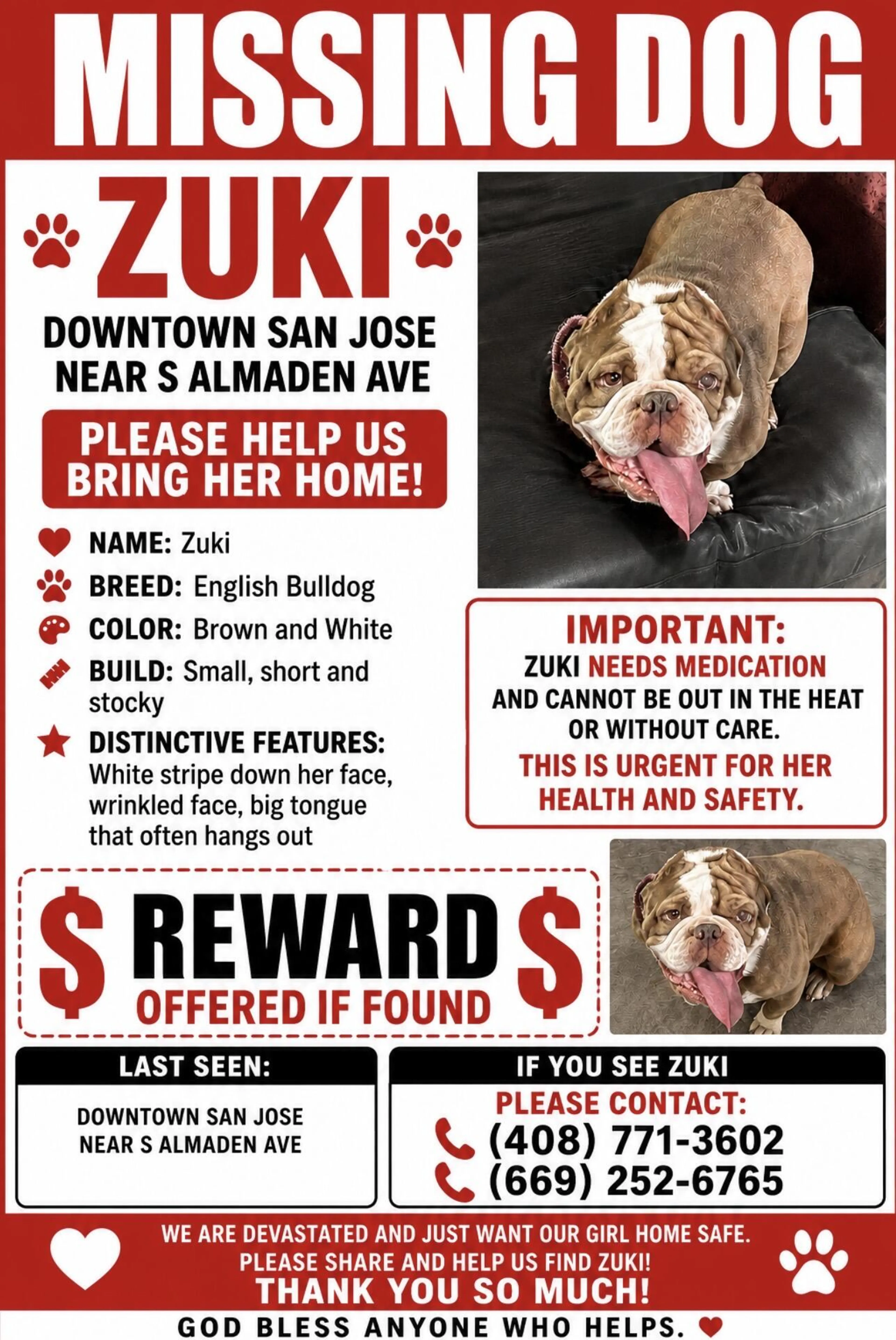 Lost pet