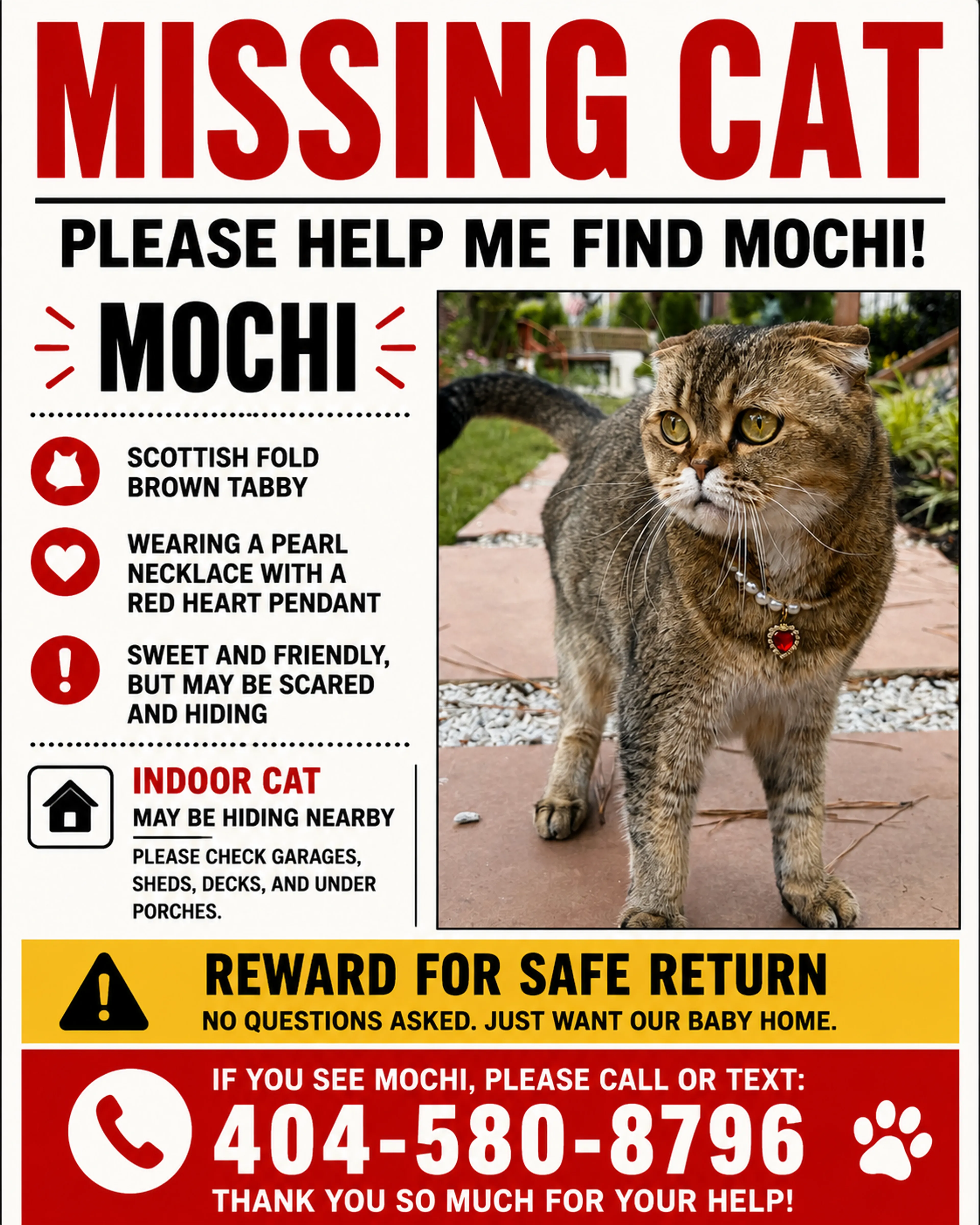 Lost pet