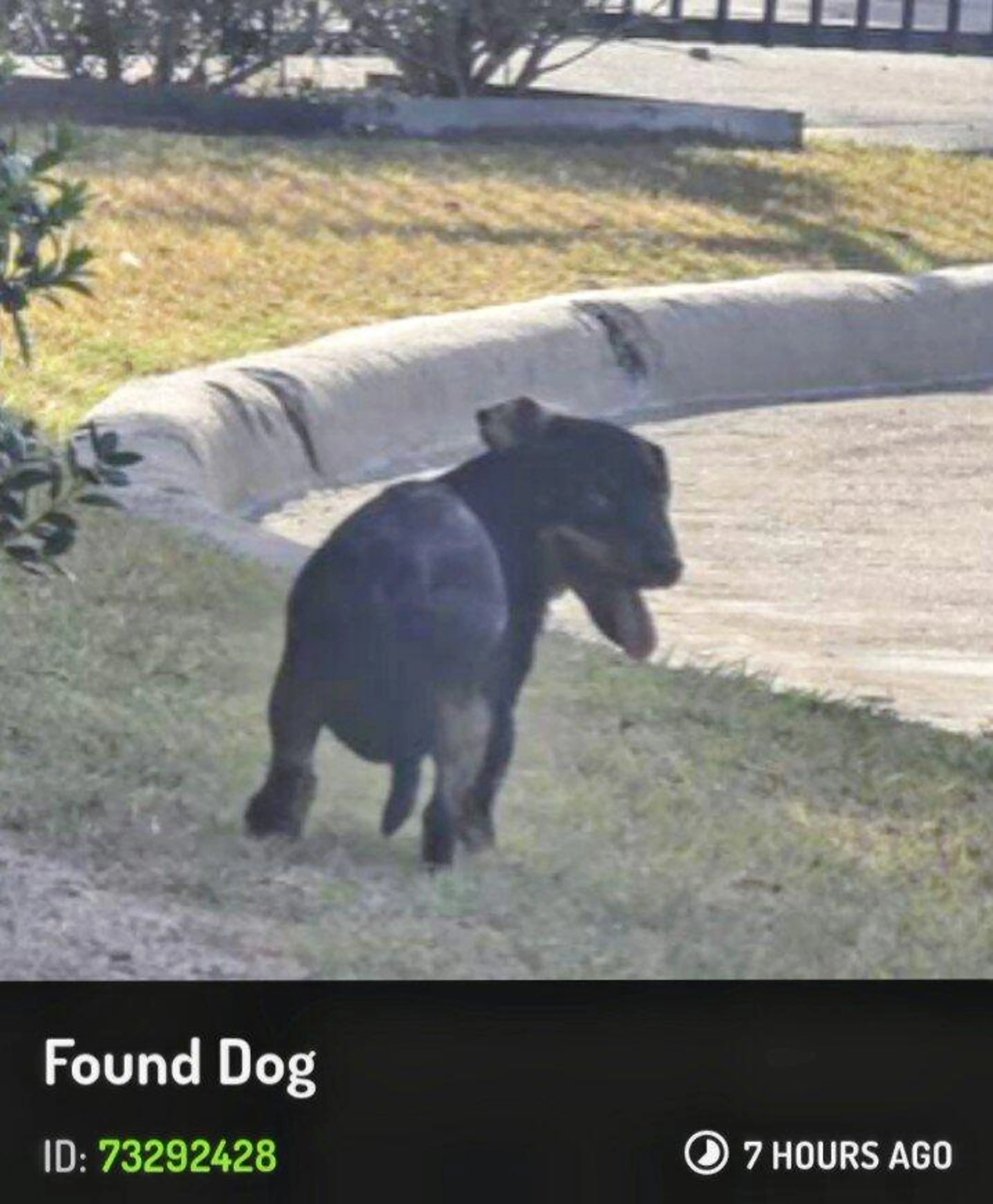 cdn image