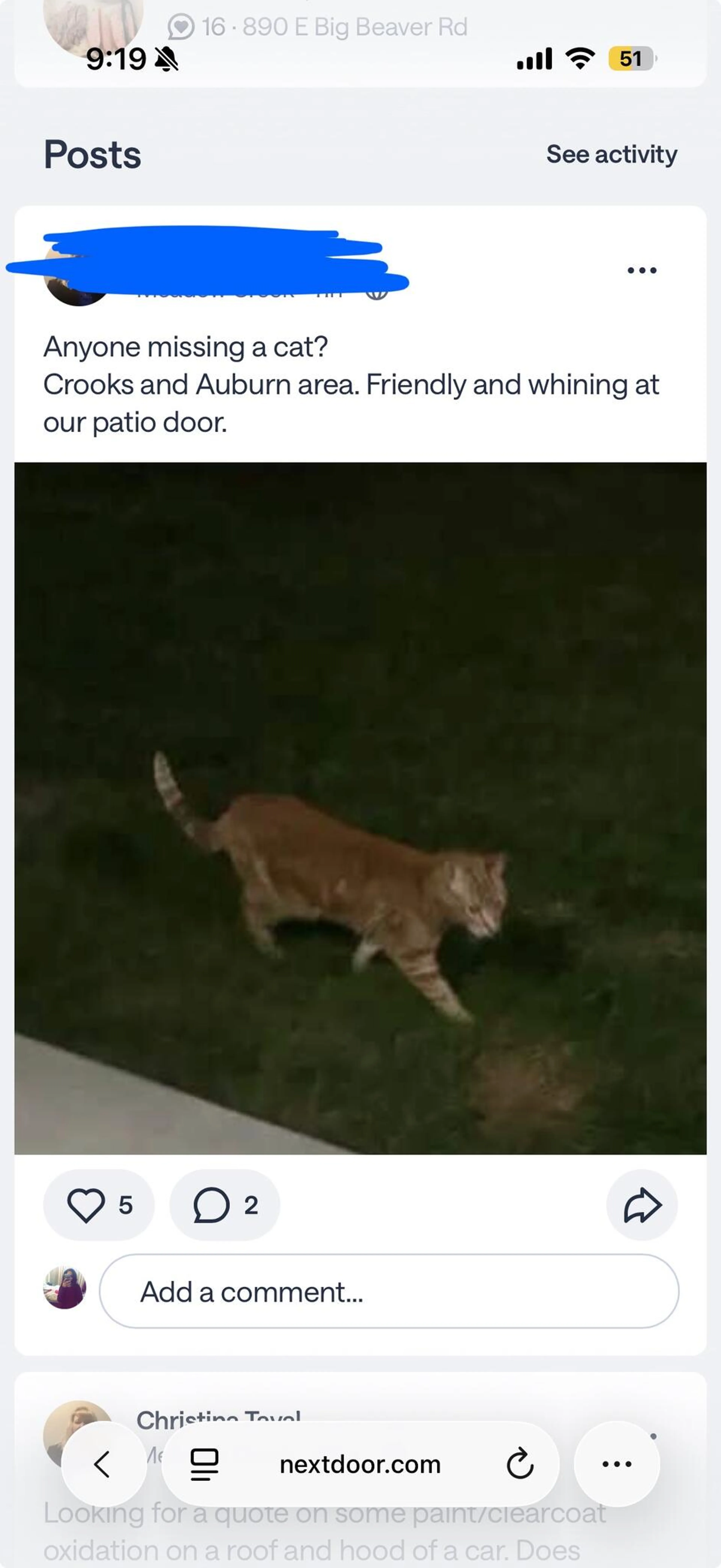Found pet