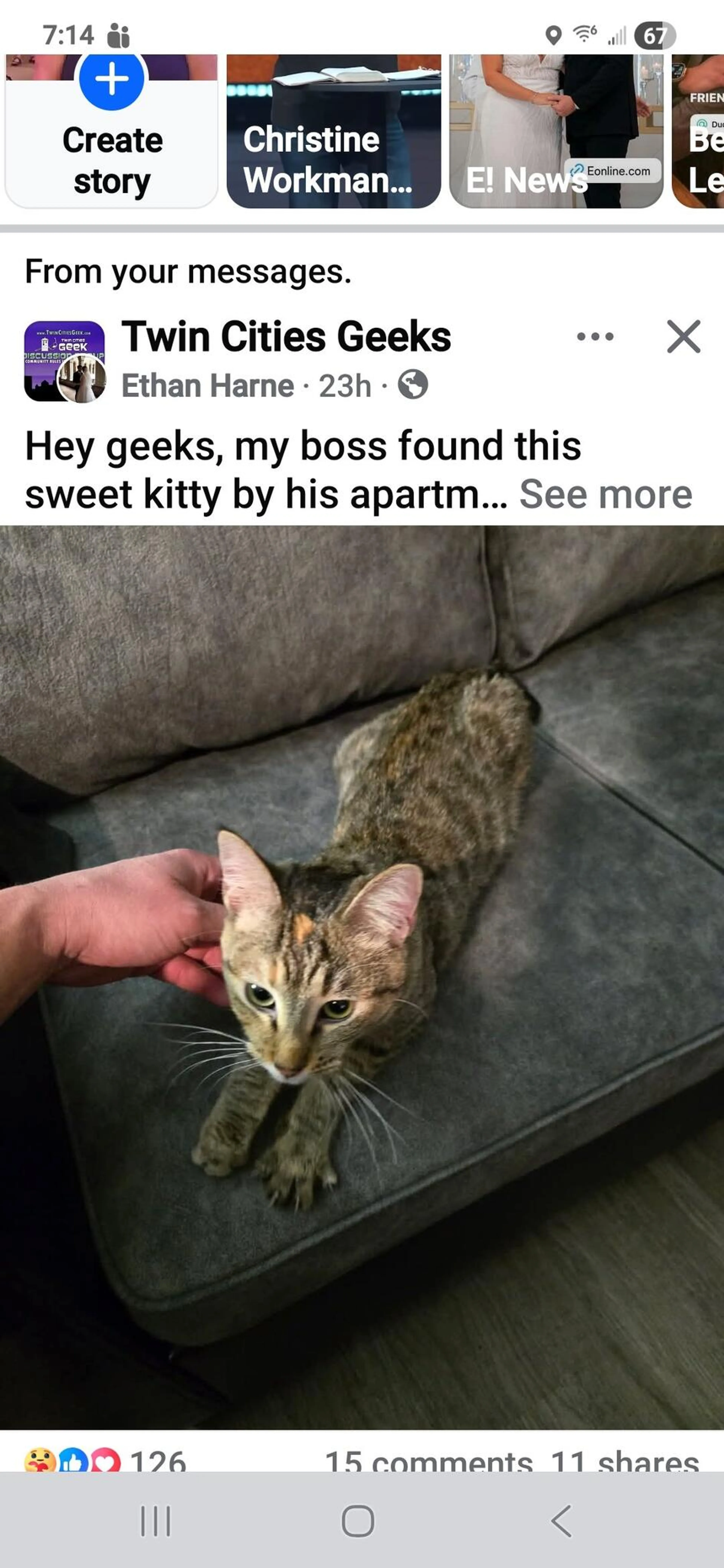 Found pet