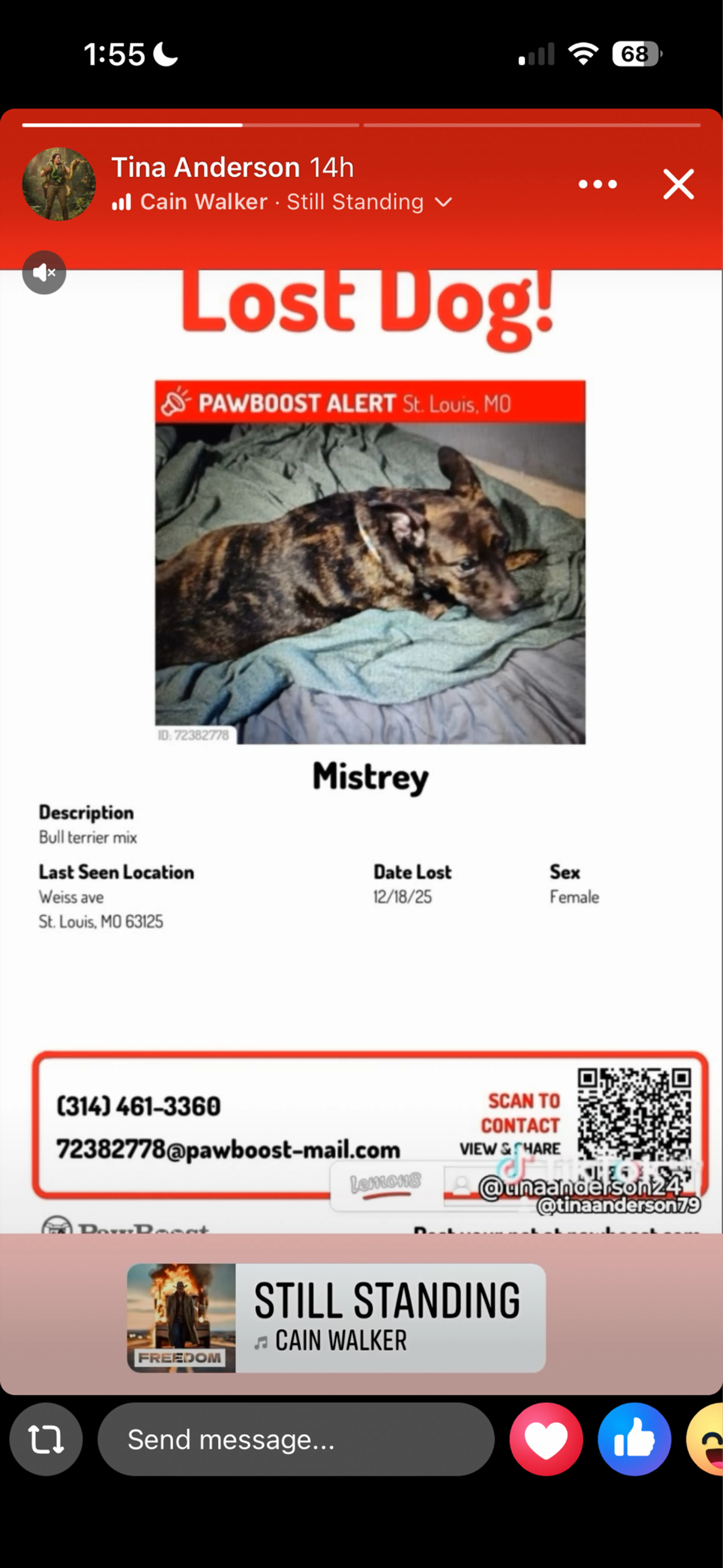 Lost pet