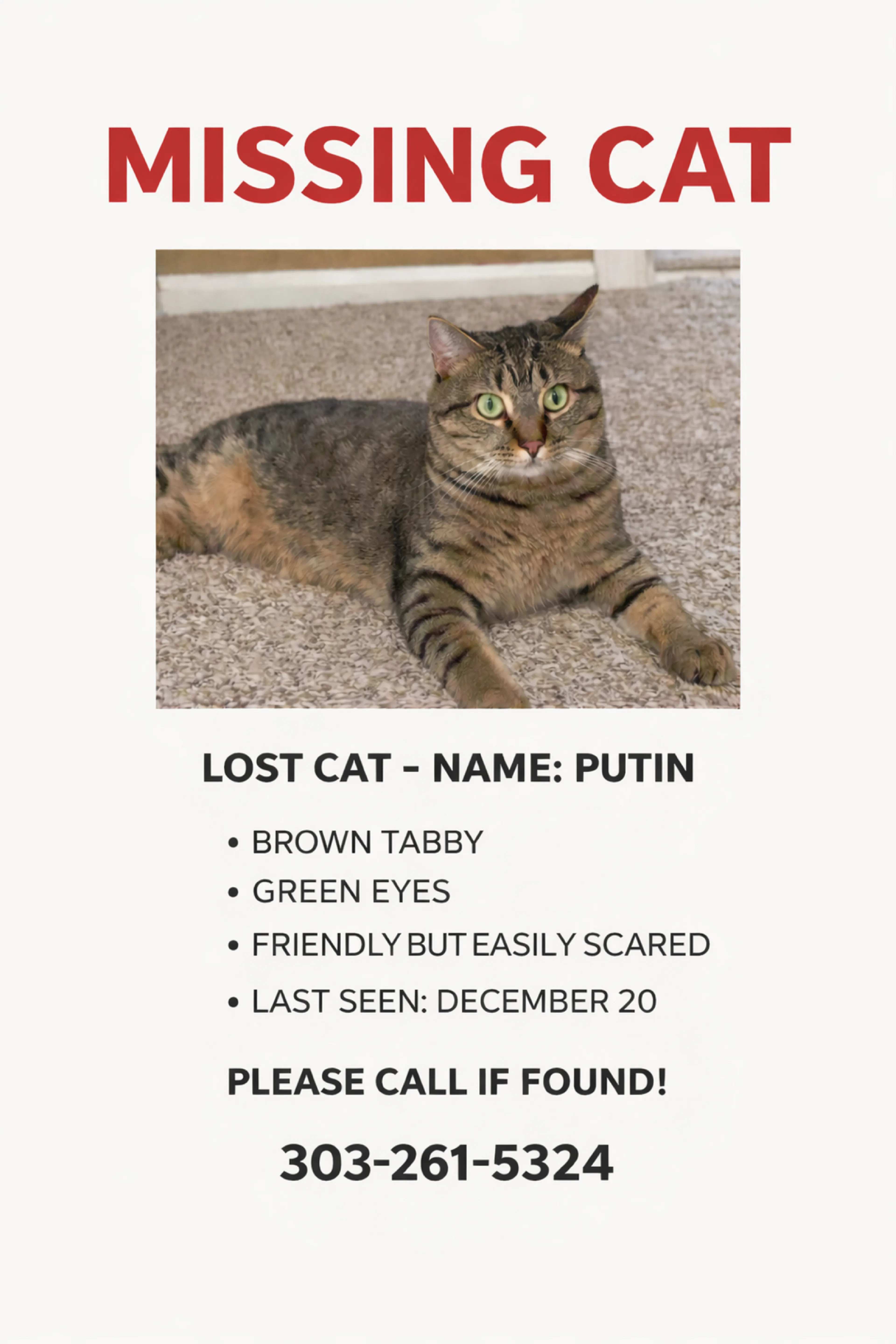 Lost pet