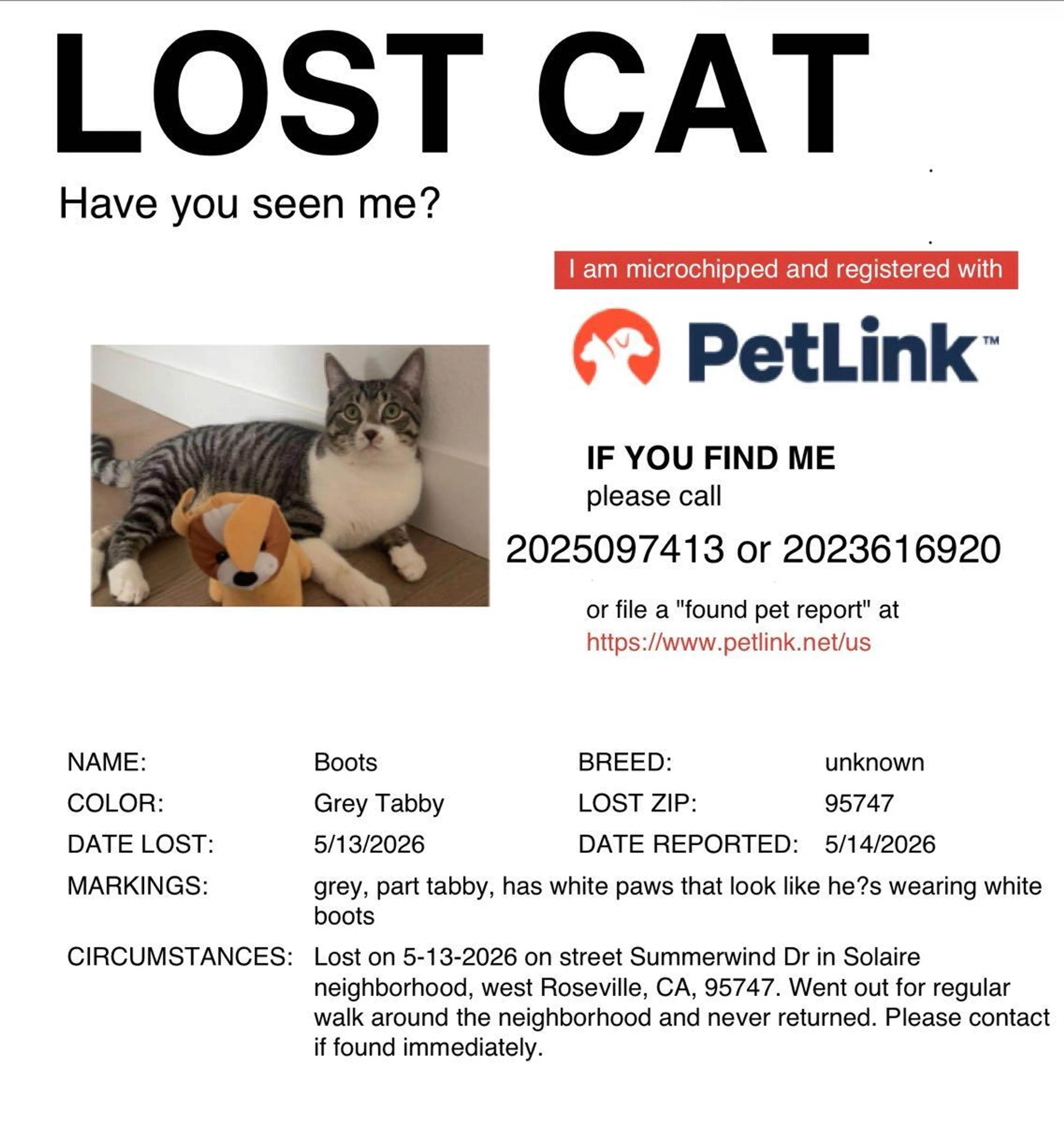 Lost pet