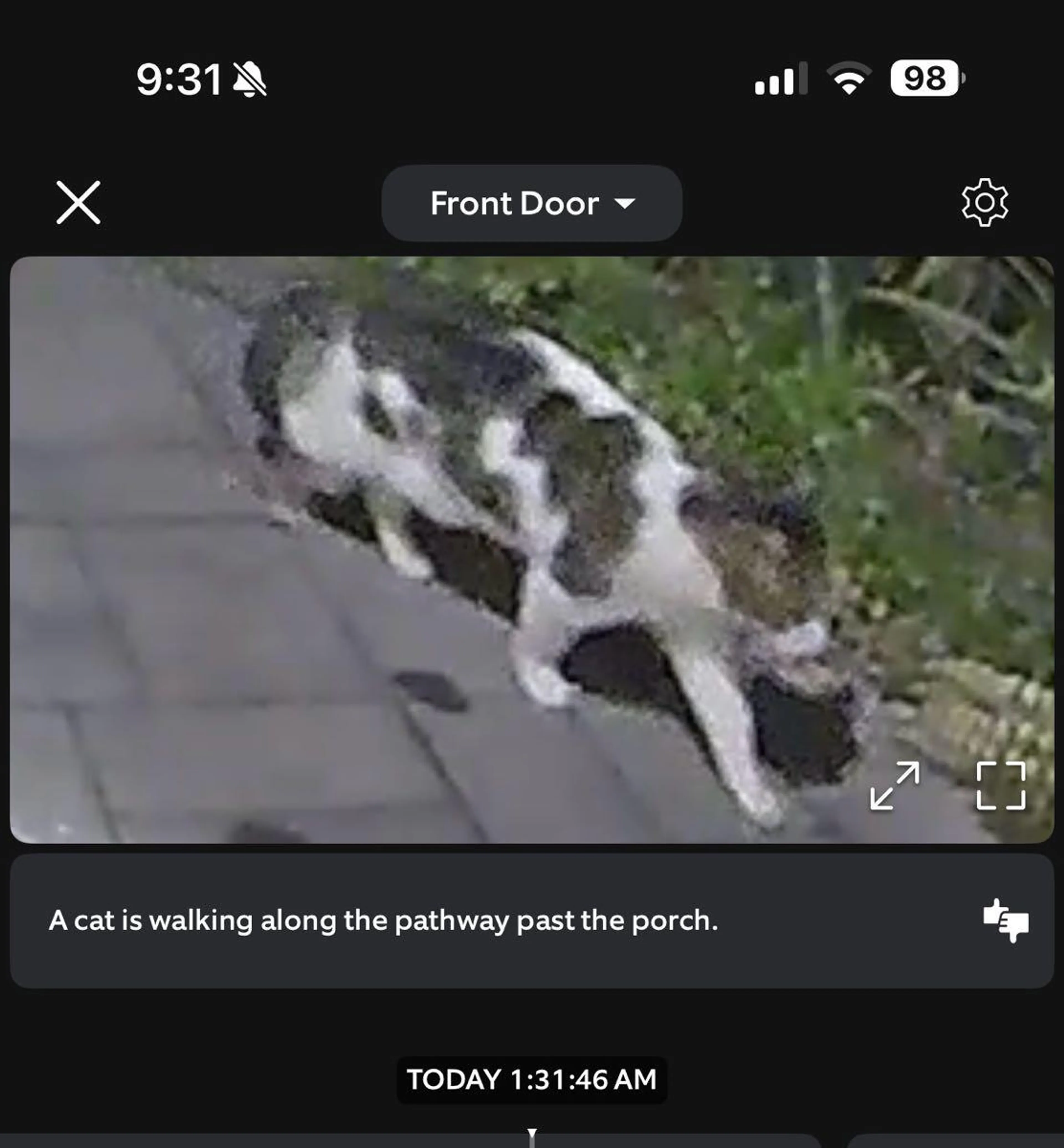 cdn image