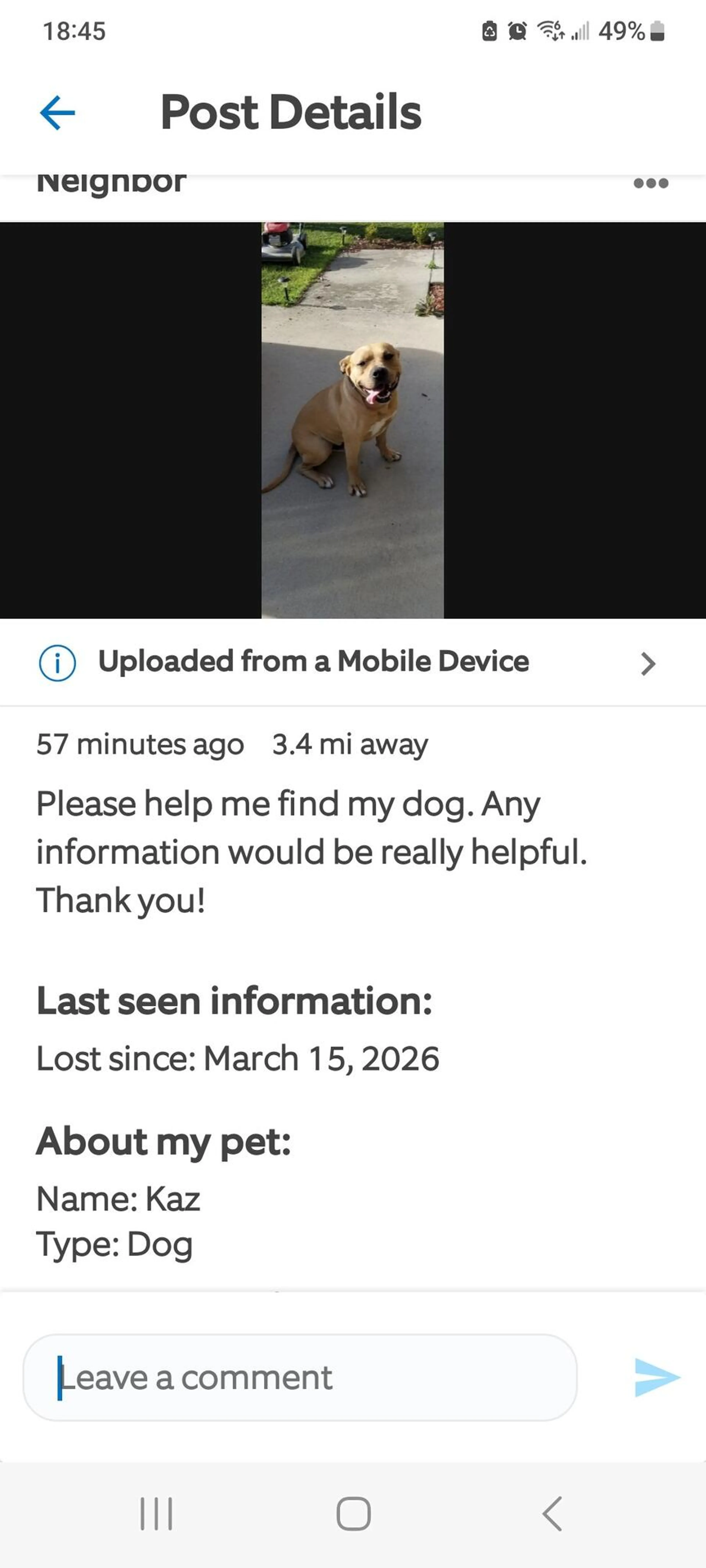 Lost pet