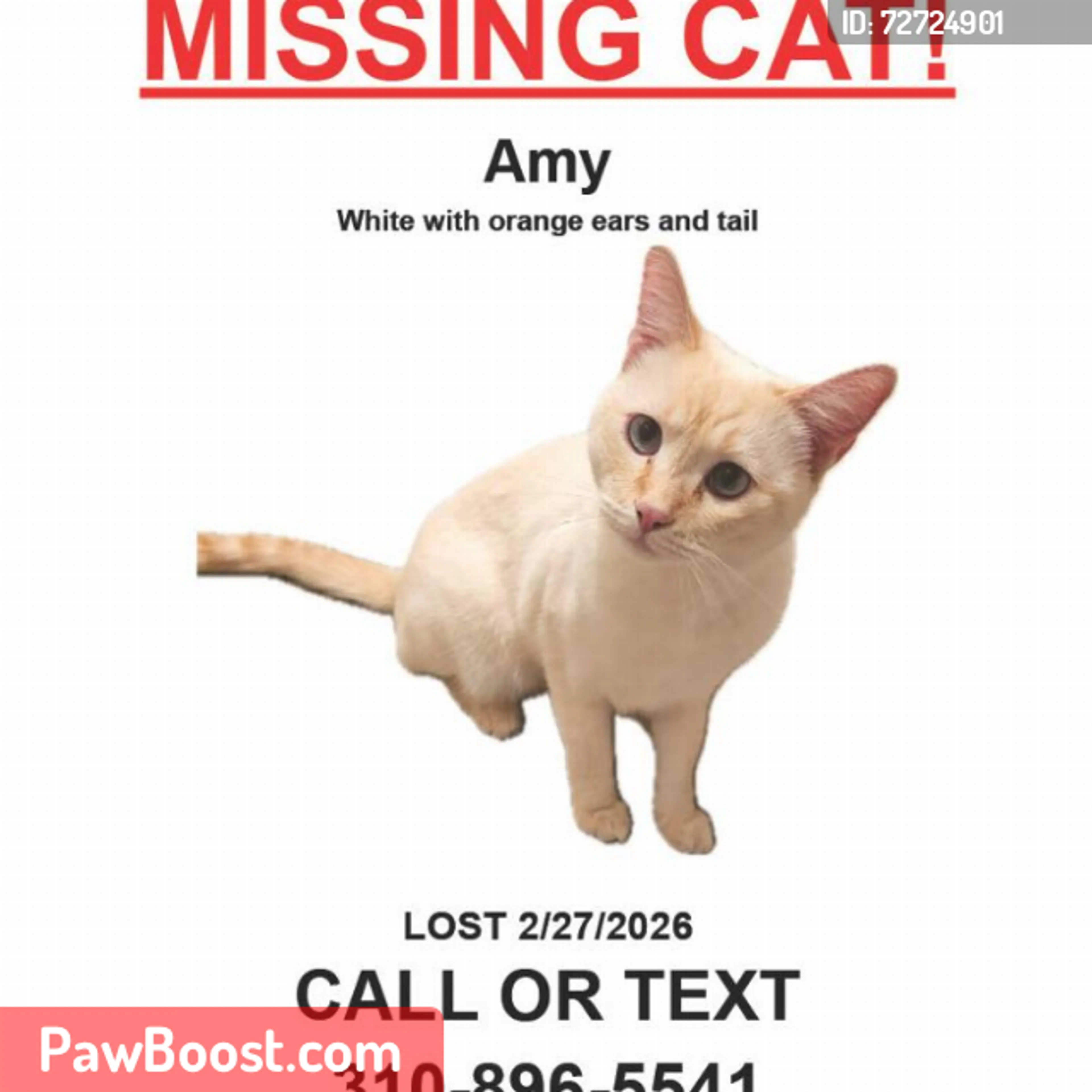 Lost pet