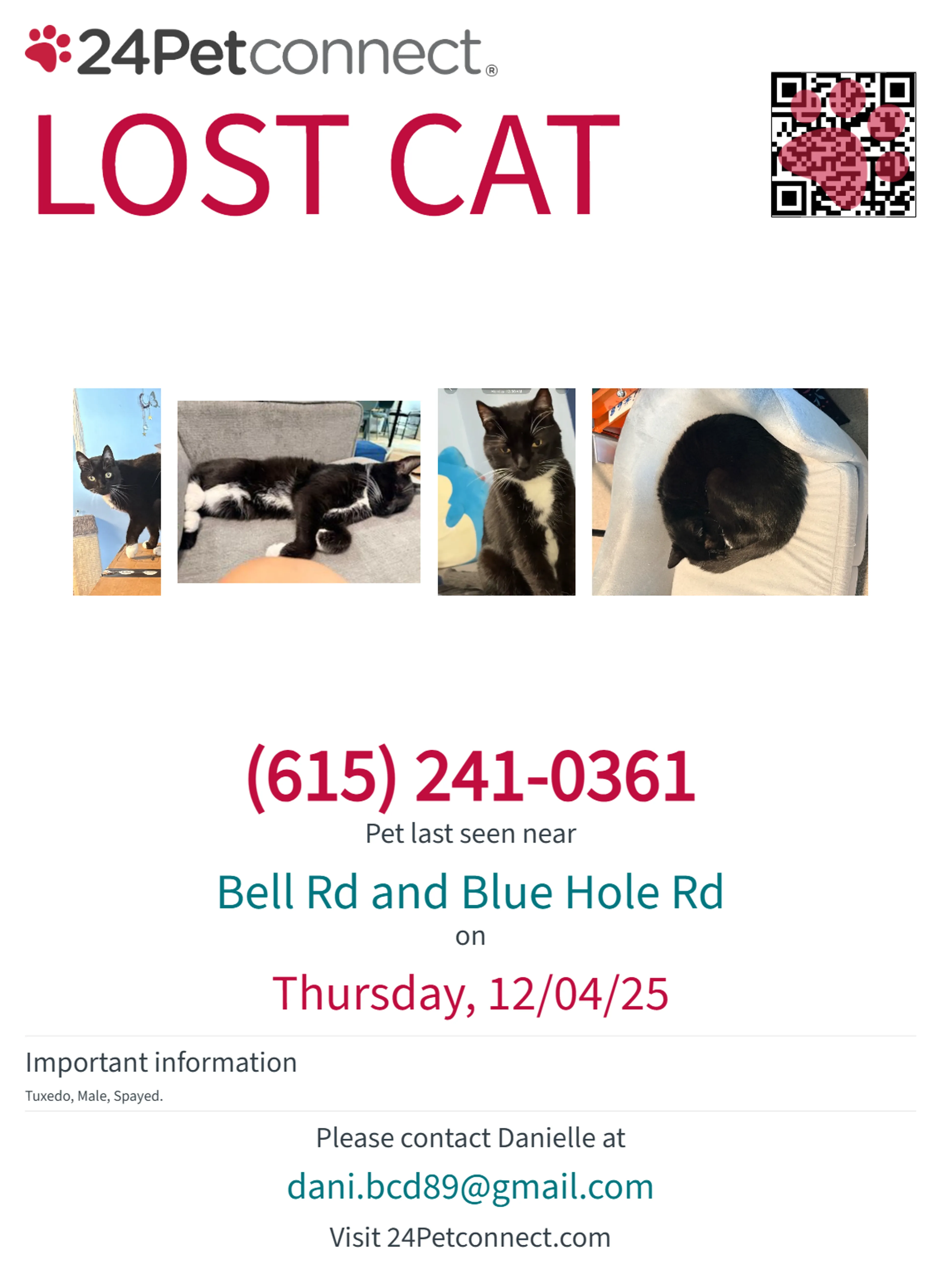 Lost pet