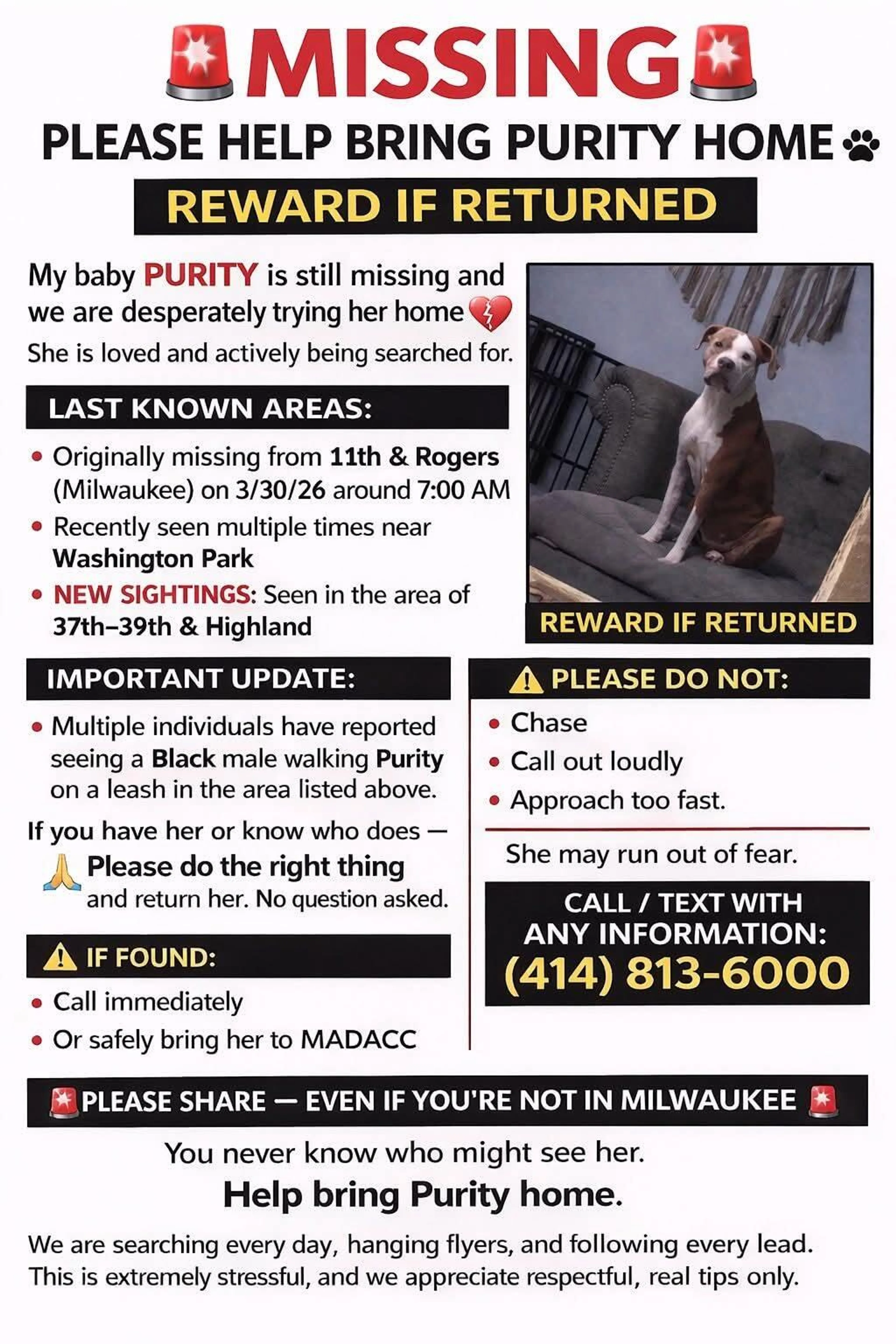 Lost pet