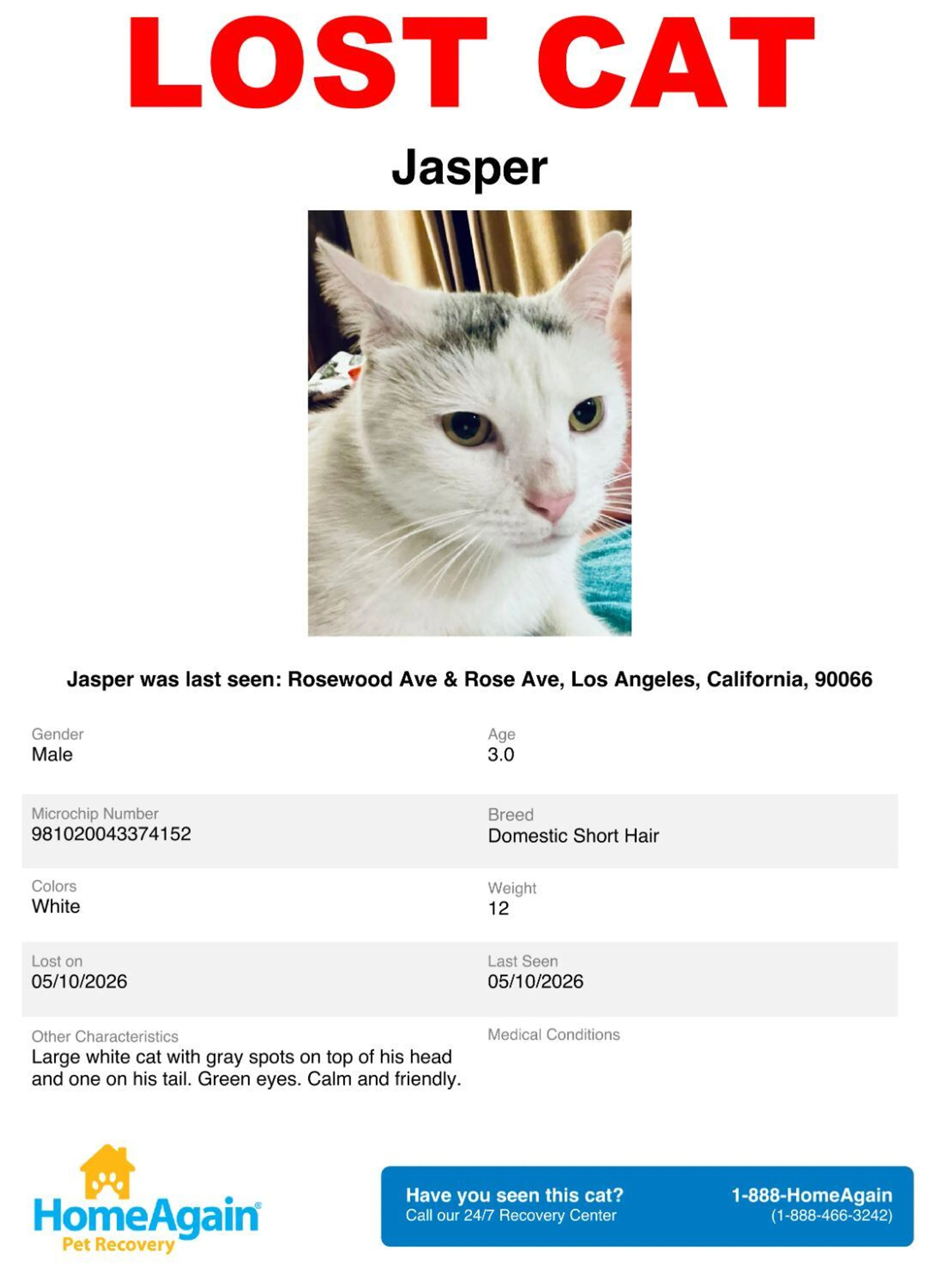 Lost pet