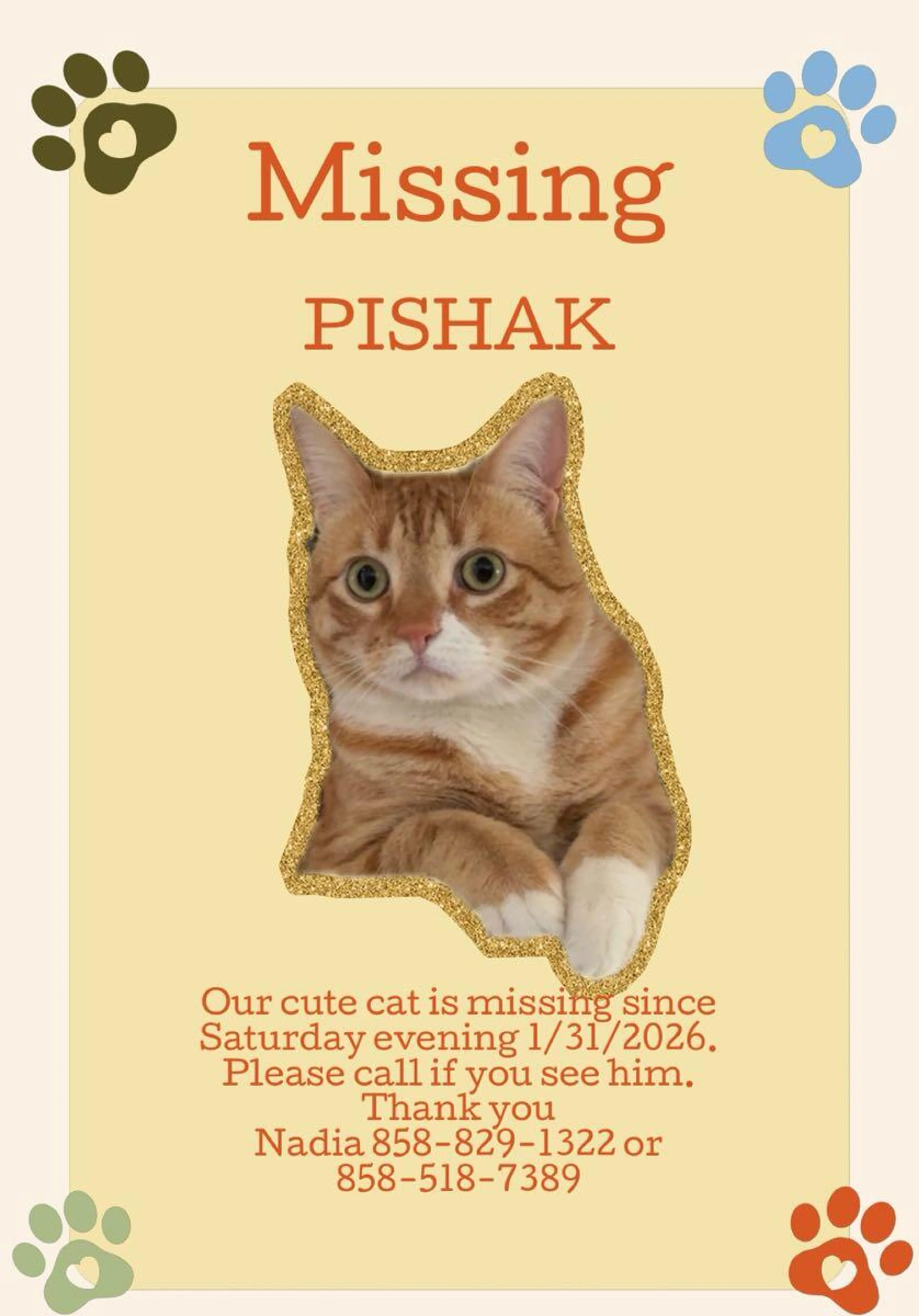 Lost pet