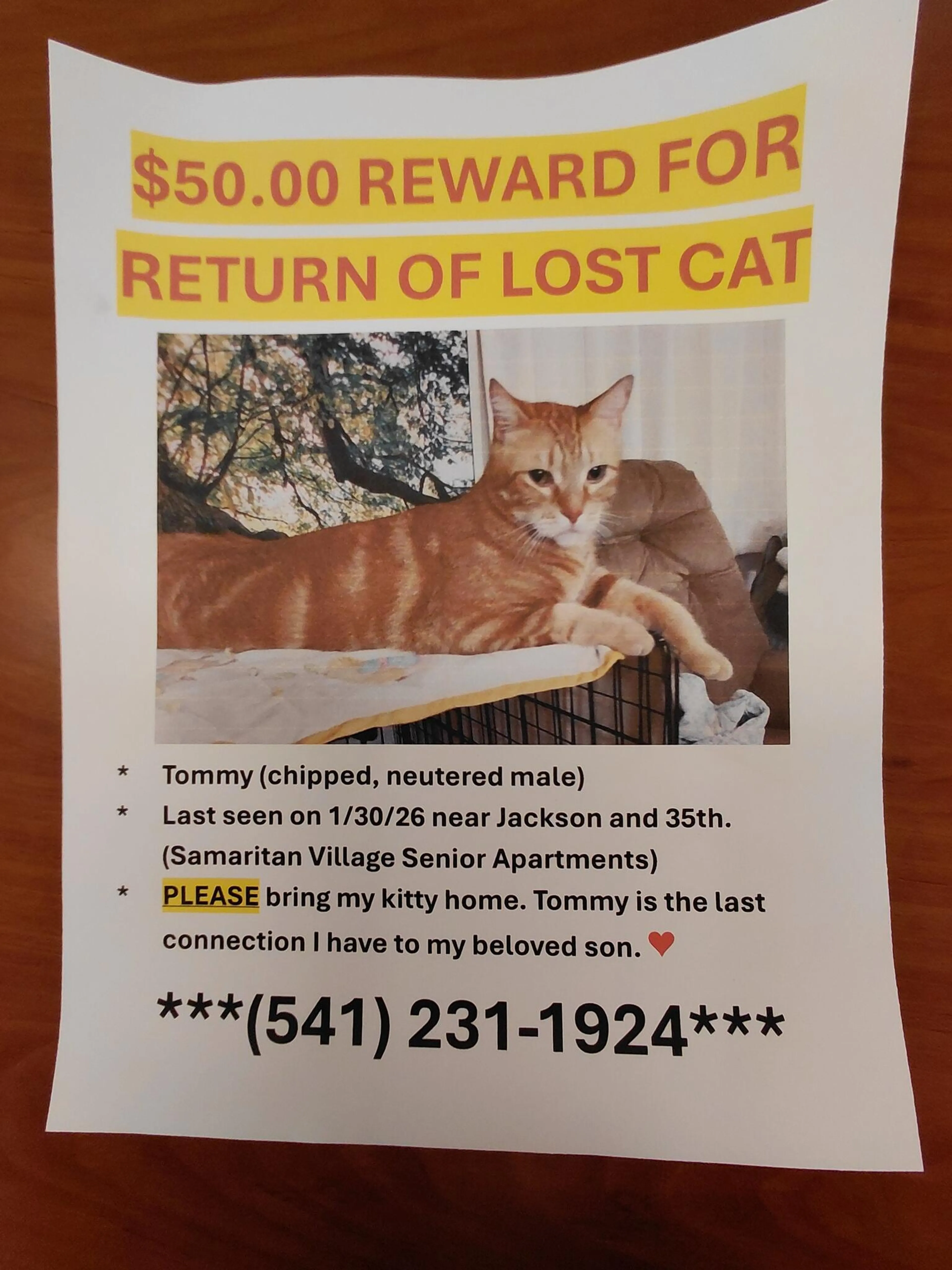Lost pet