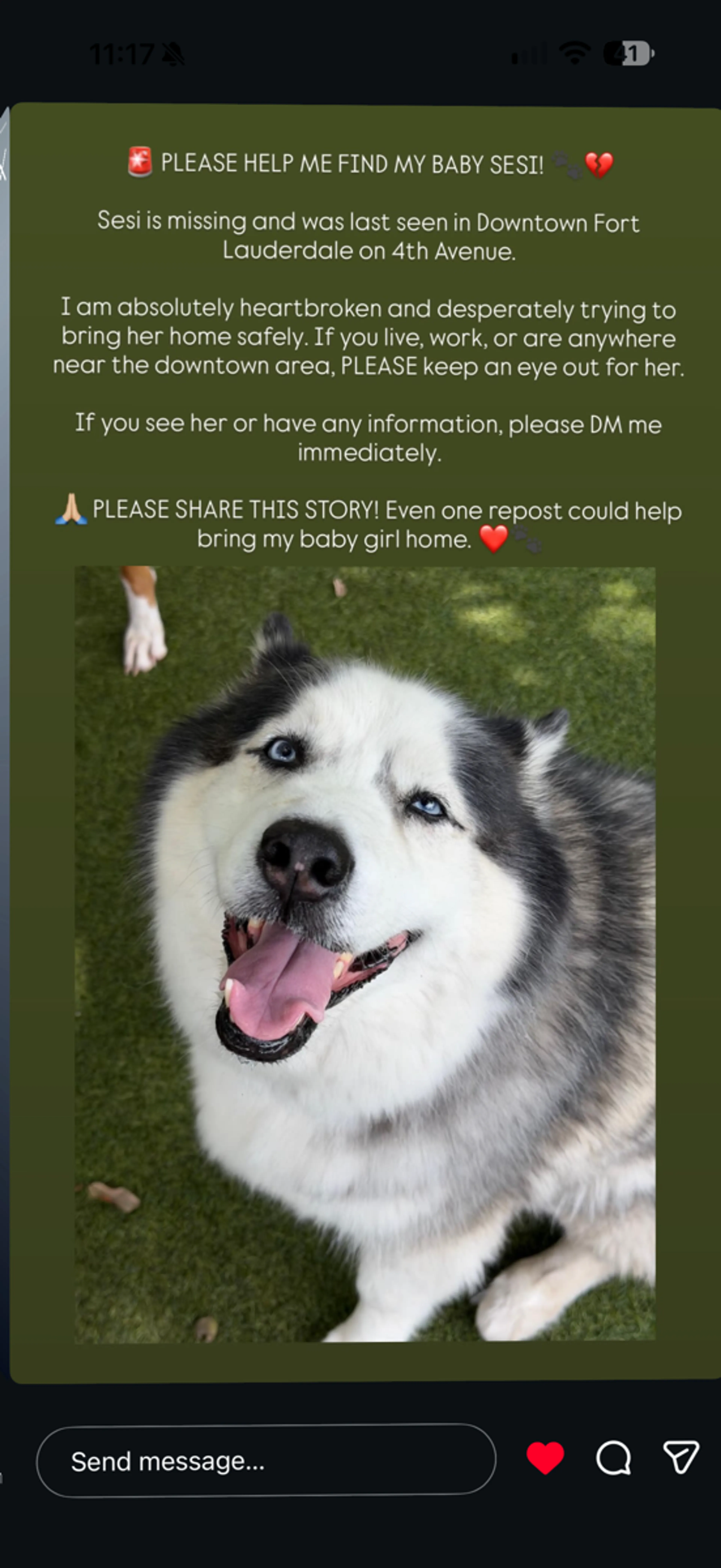 cdn image