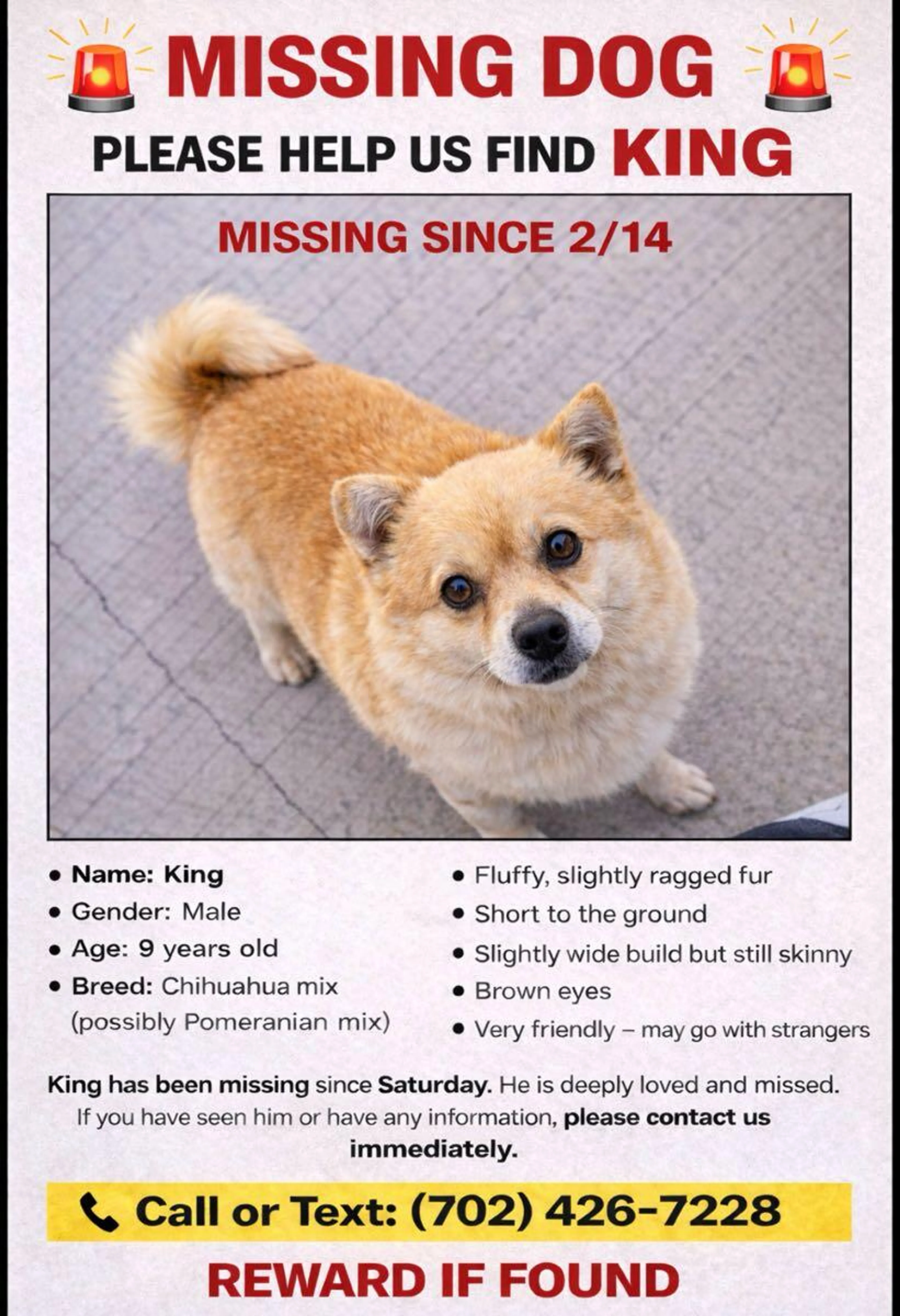 Lost pet