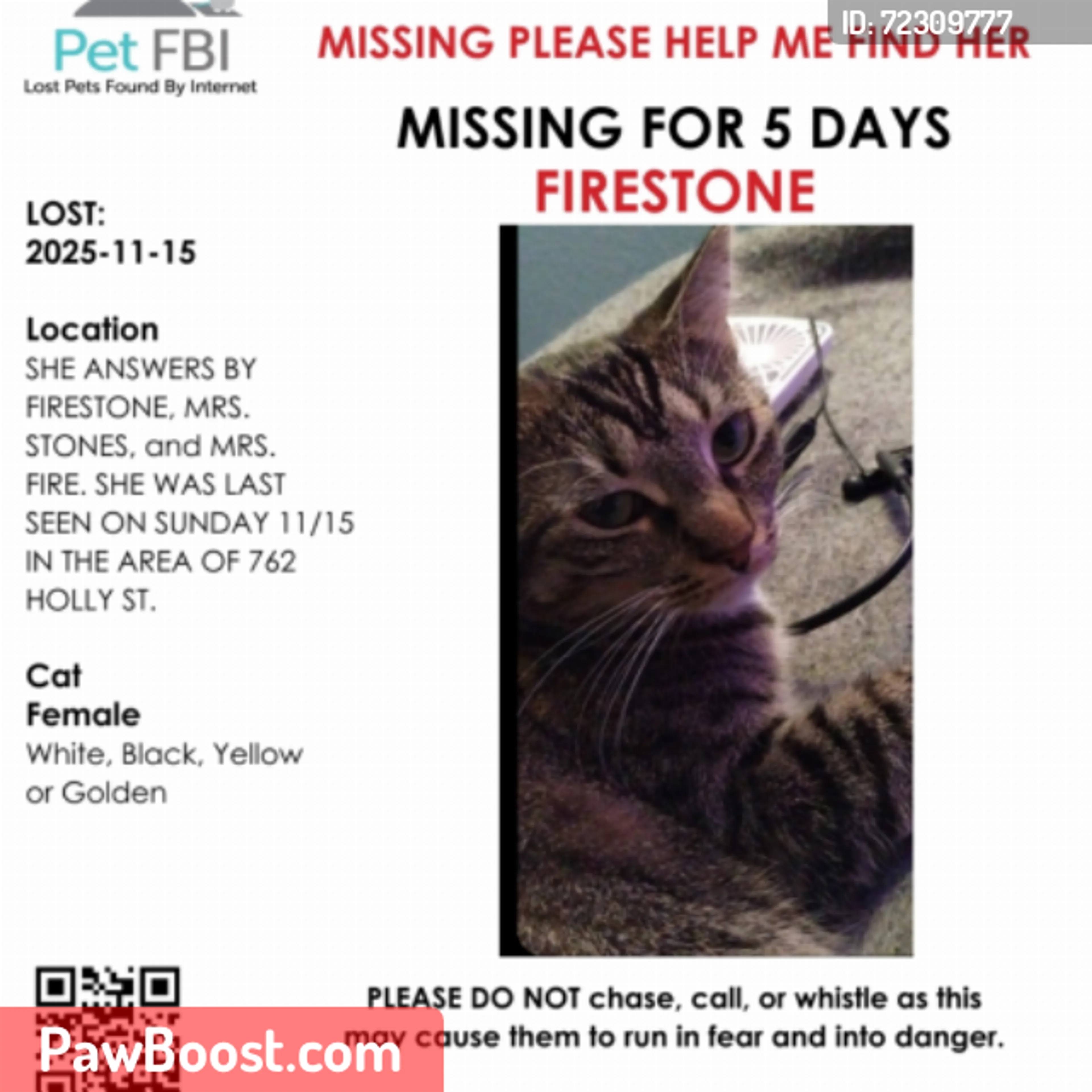 Lost pet
