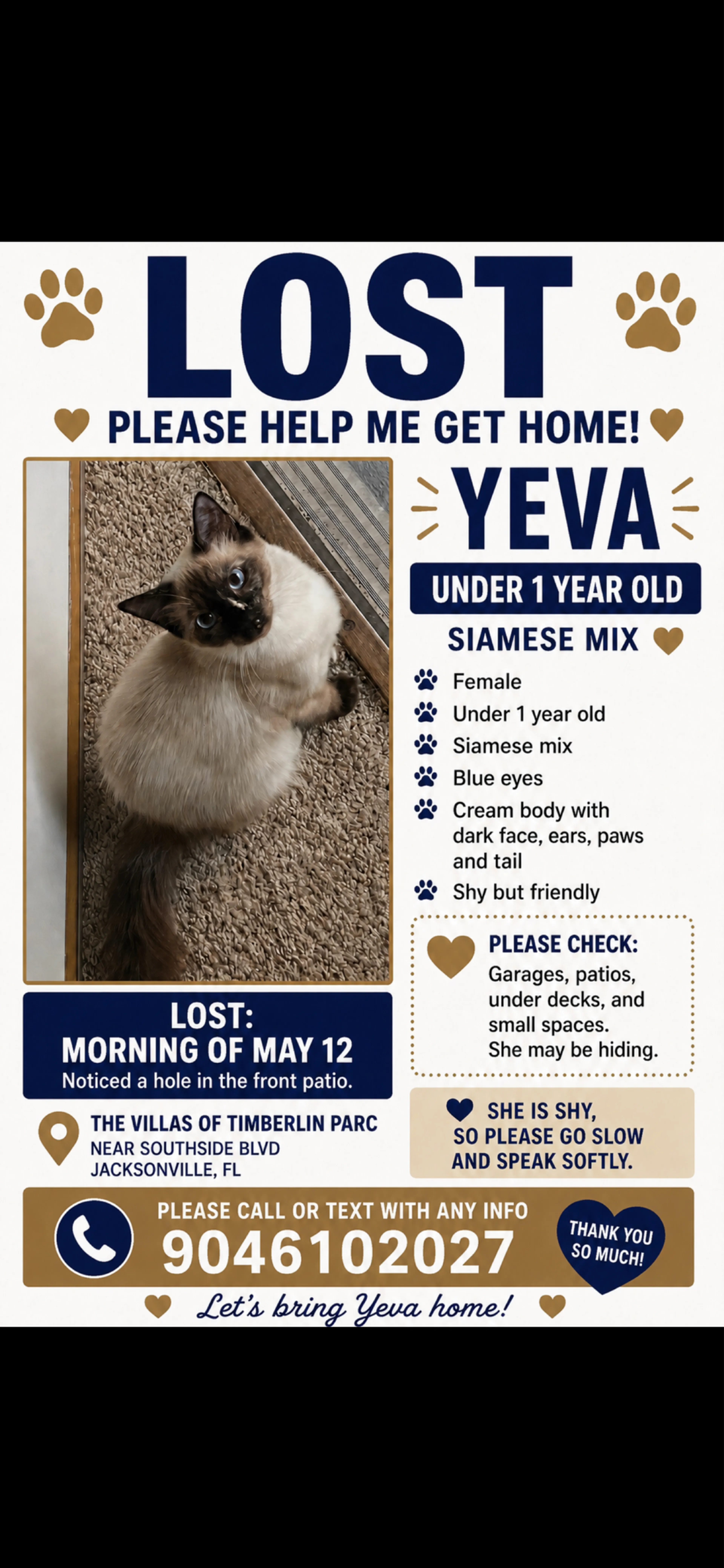Lost pet