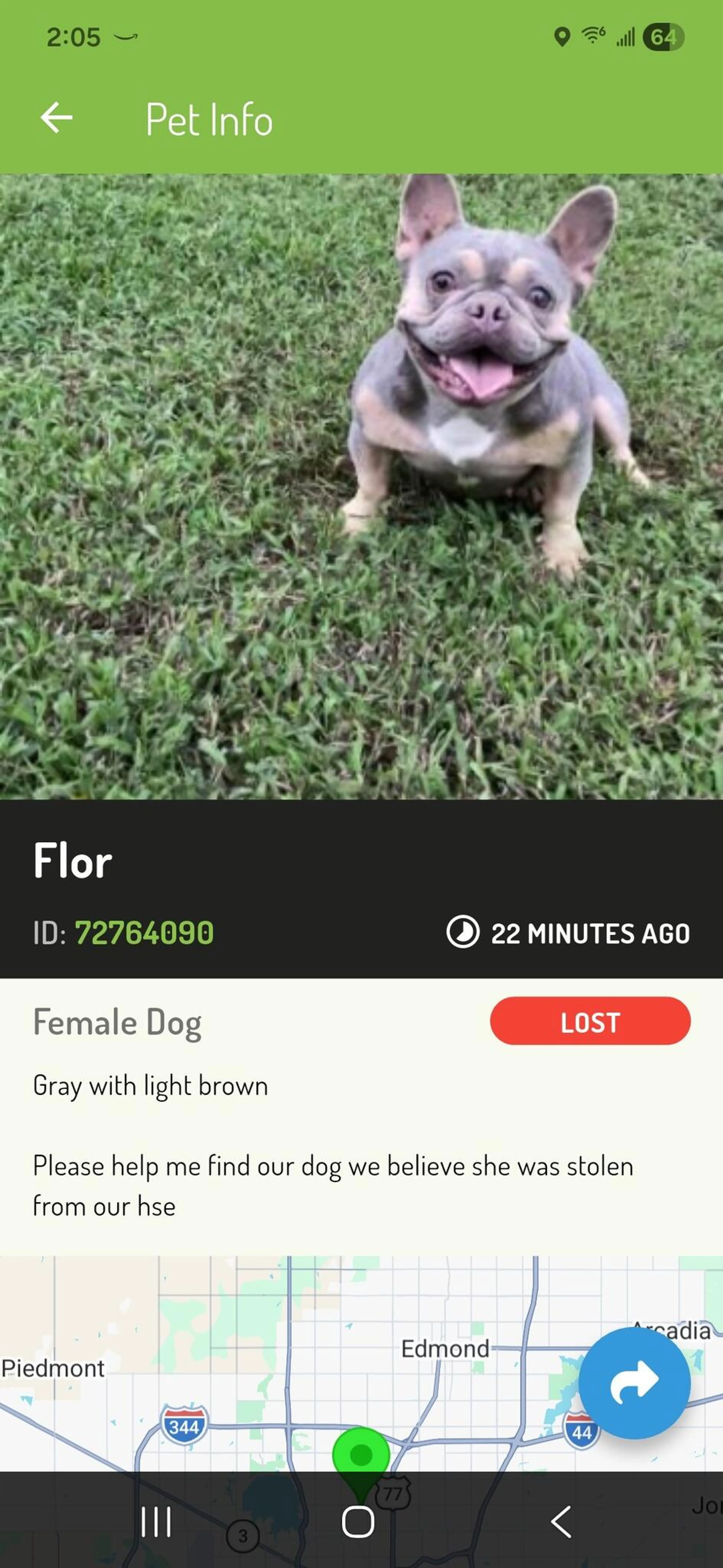 Lost pet