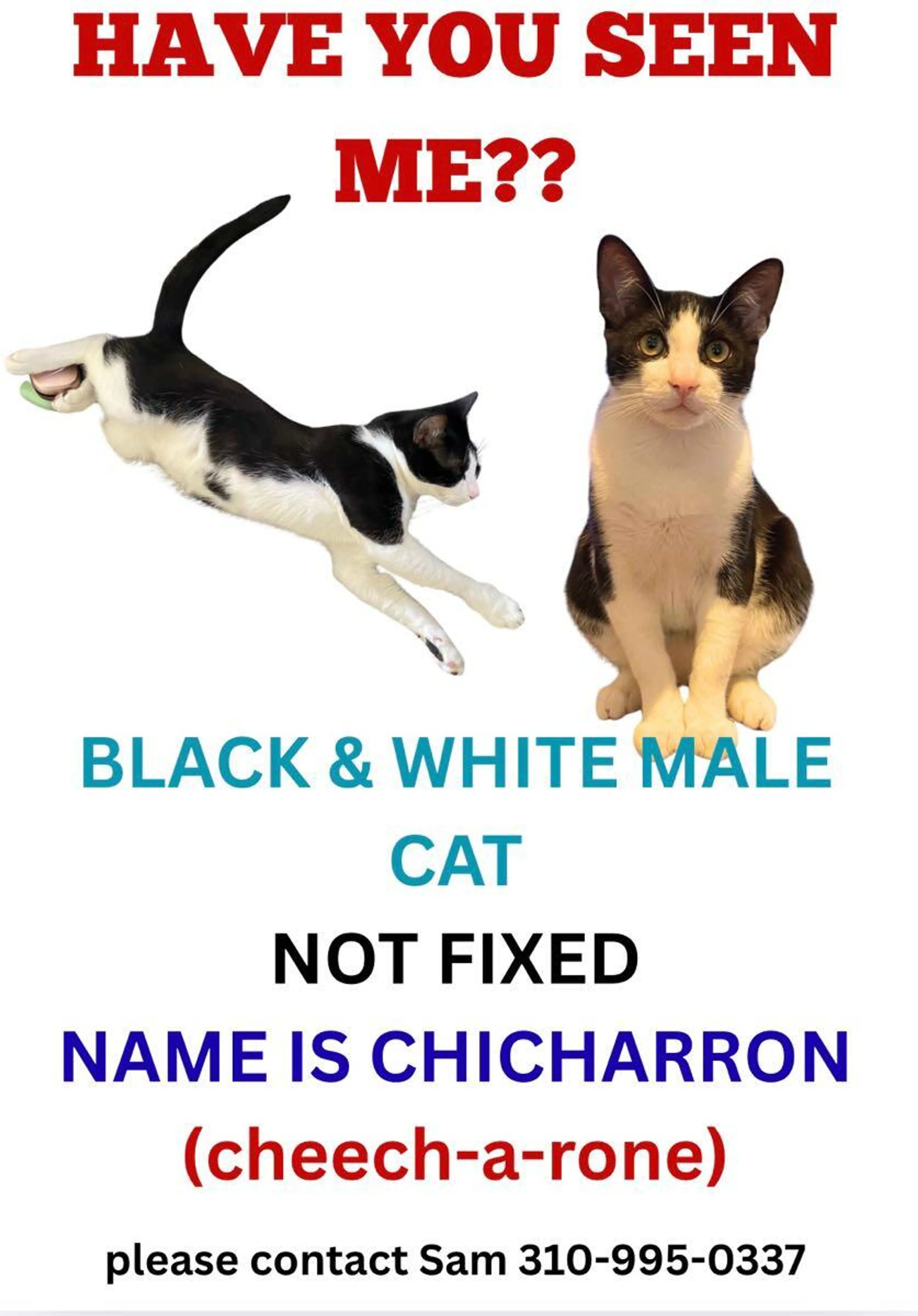 cdn image