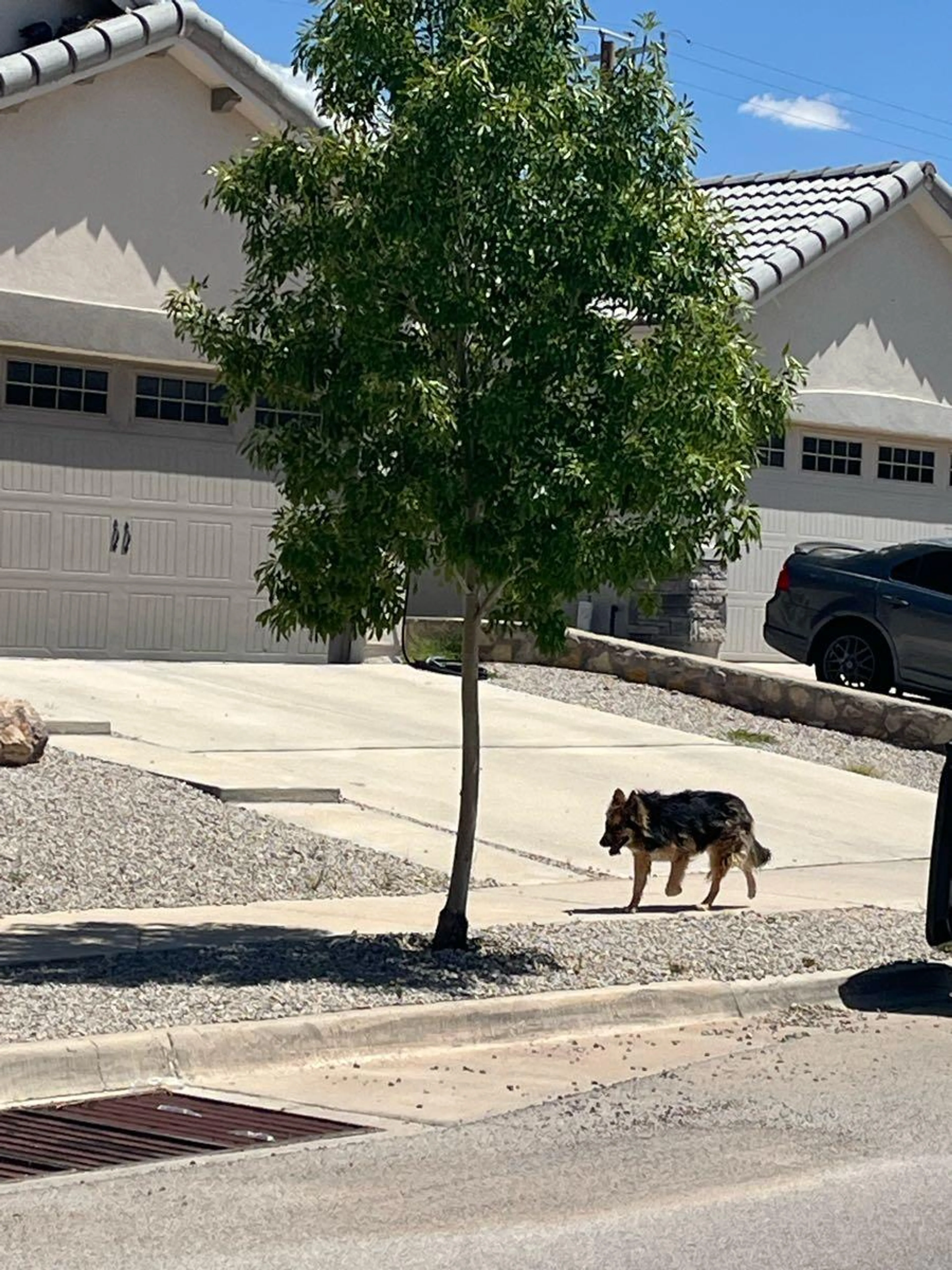cdn image