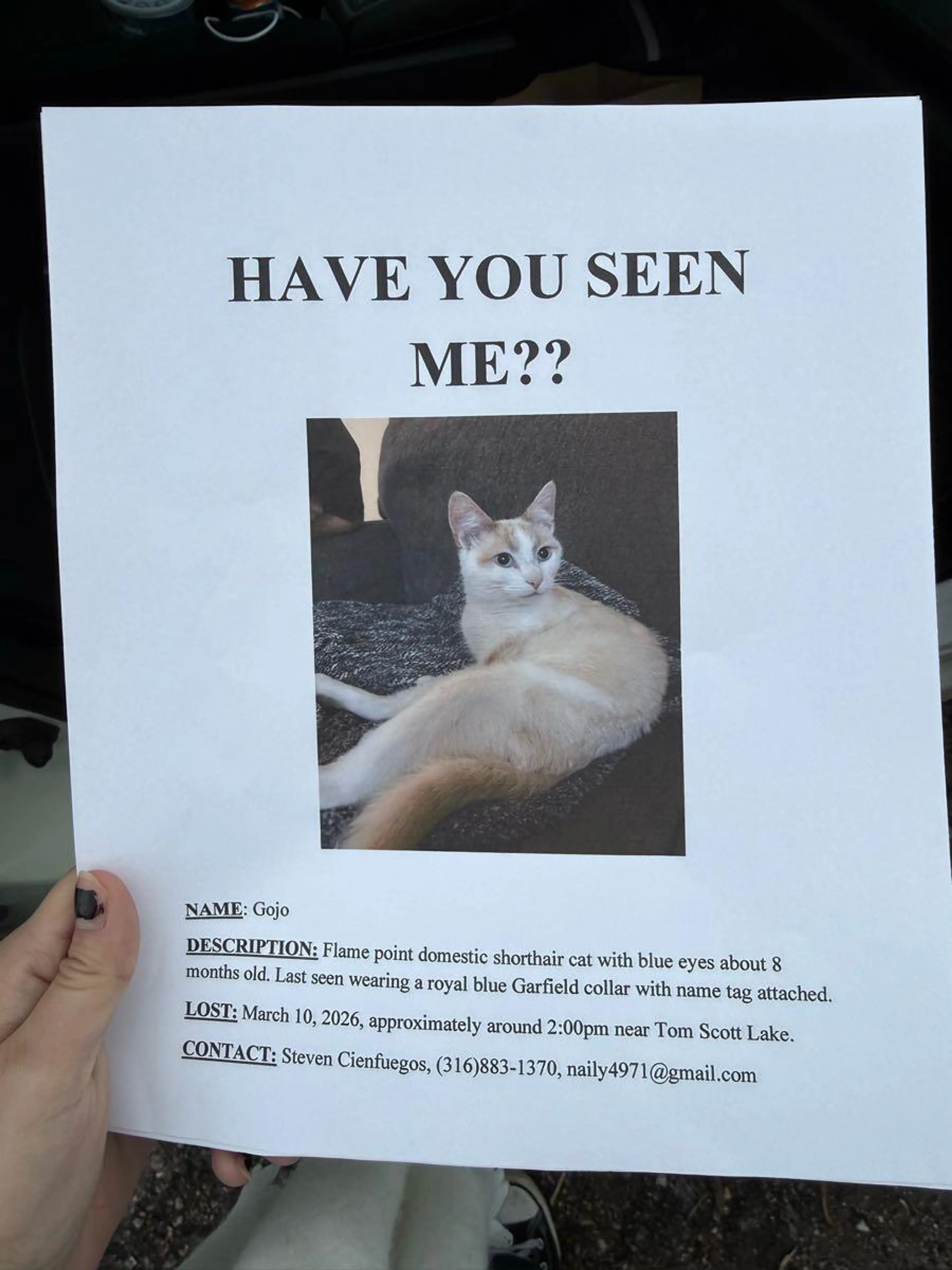 Lost pet
