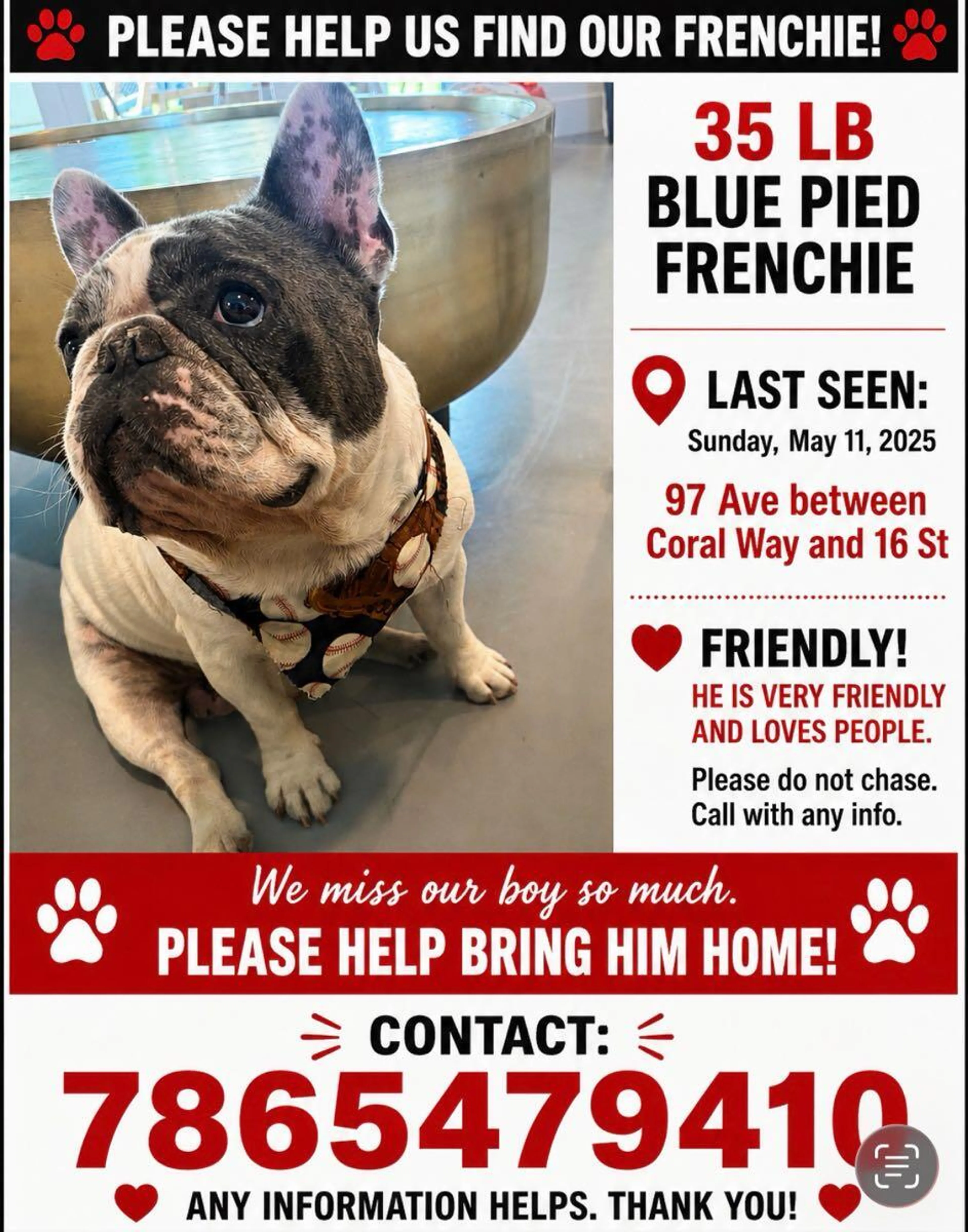 Lost pet