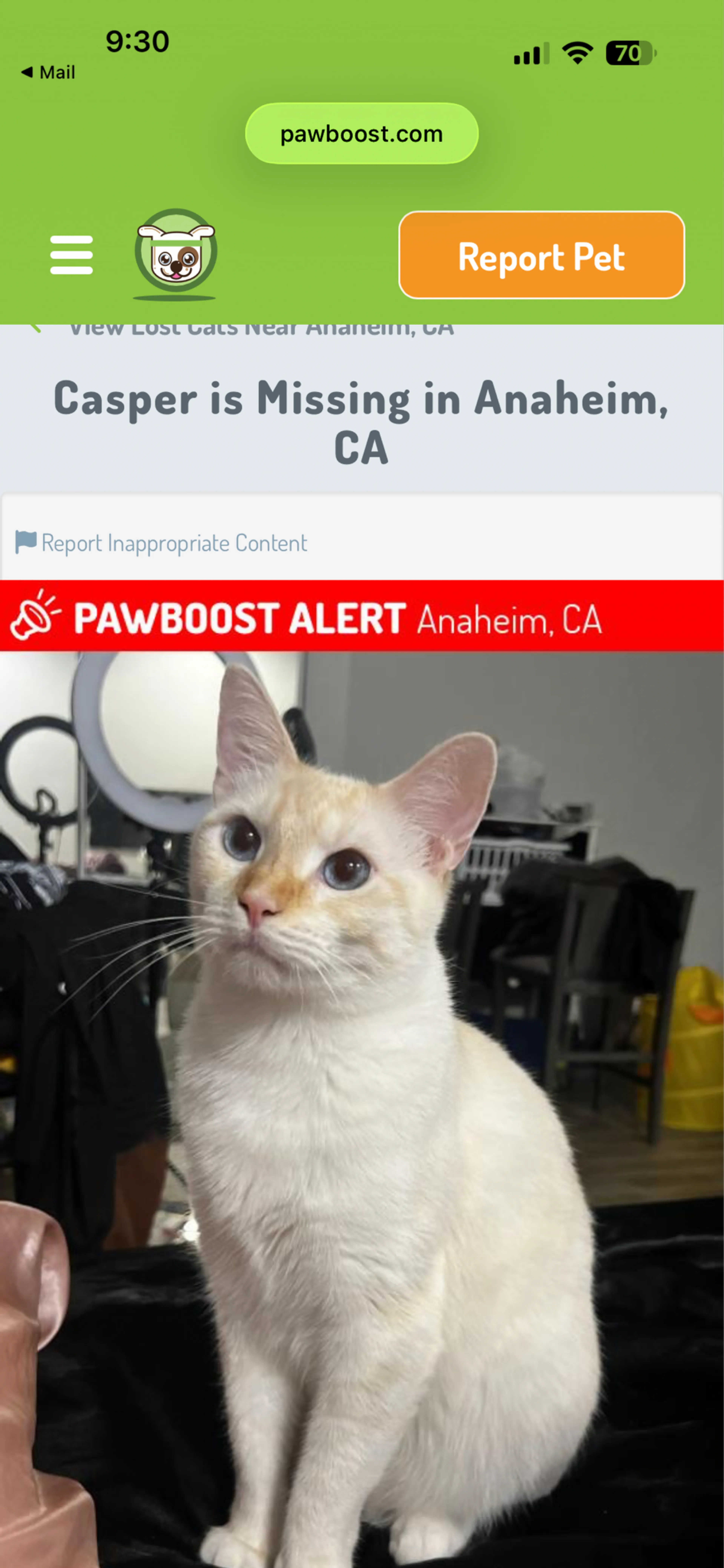 cdn image