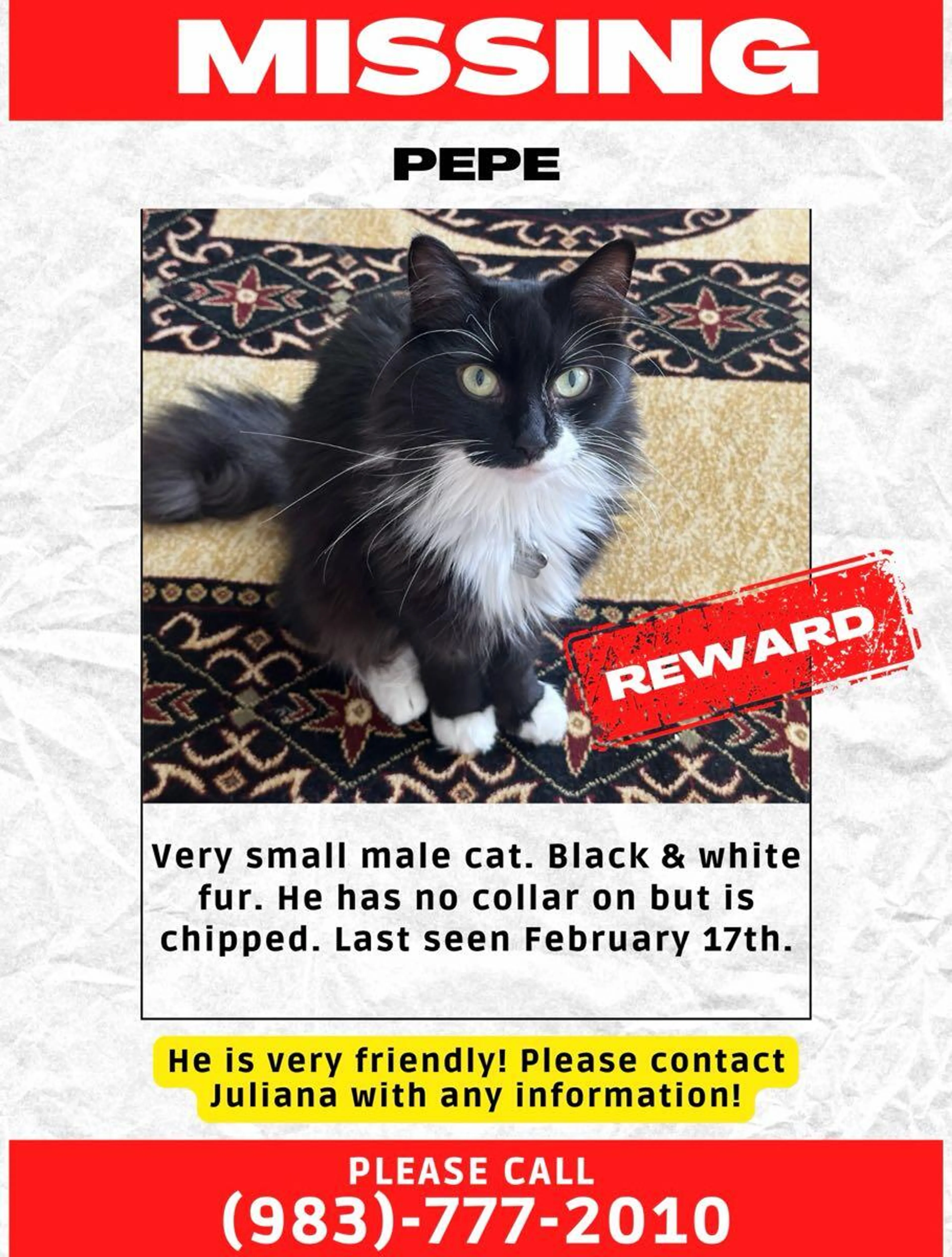 Lost pet