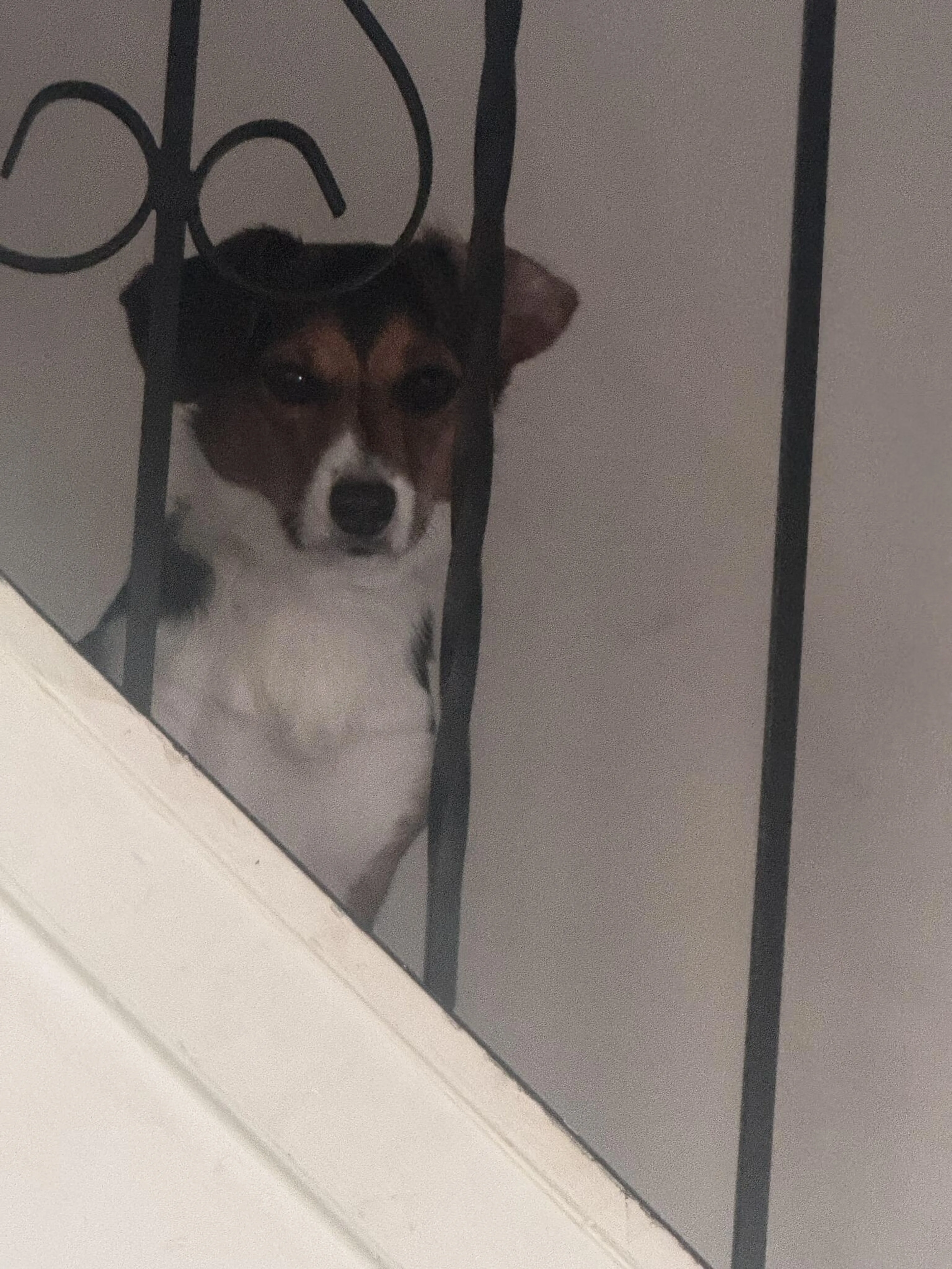cdn image