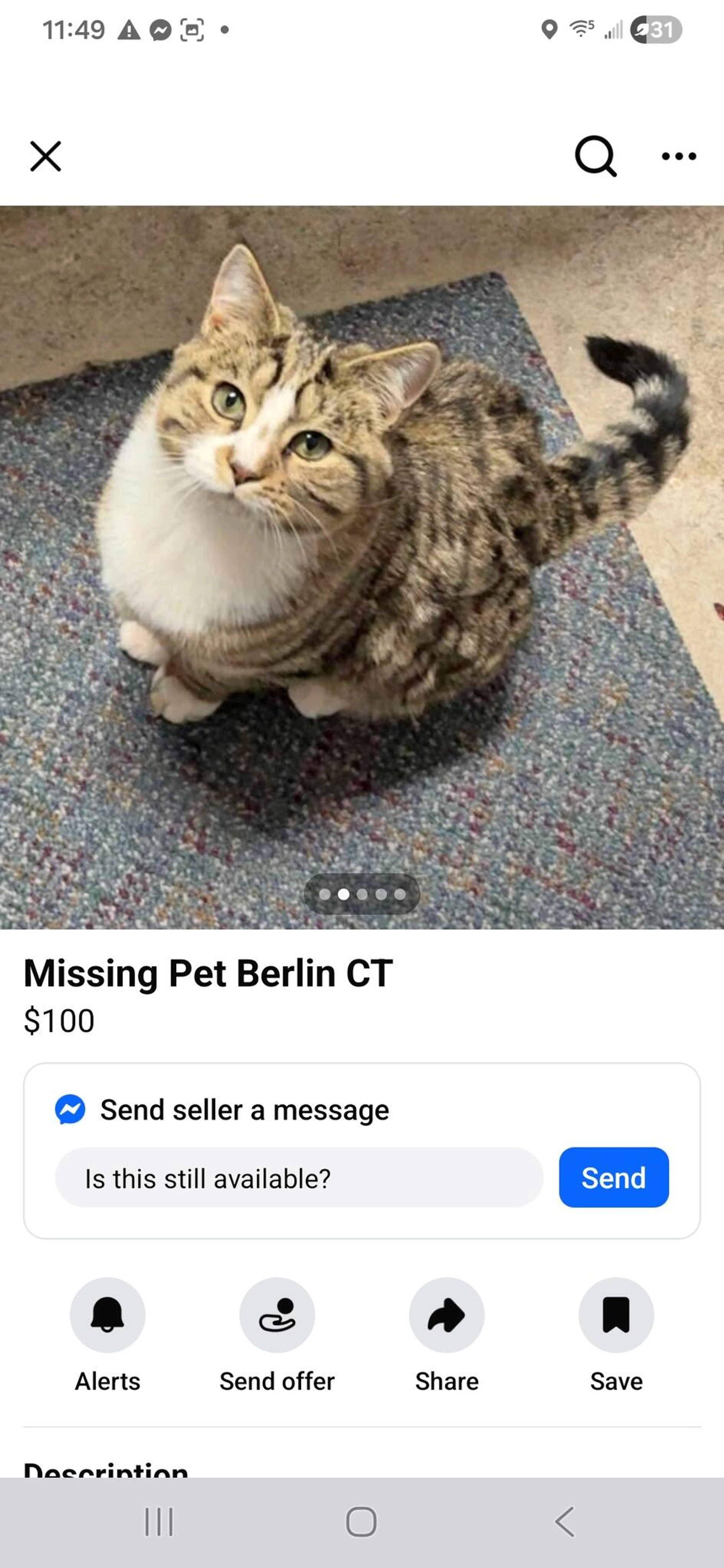 Lost pet