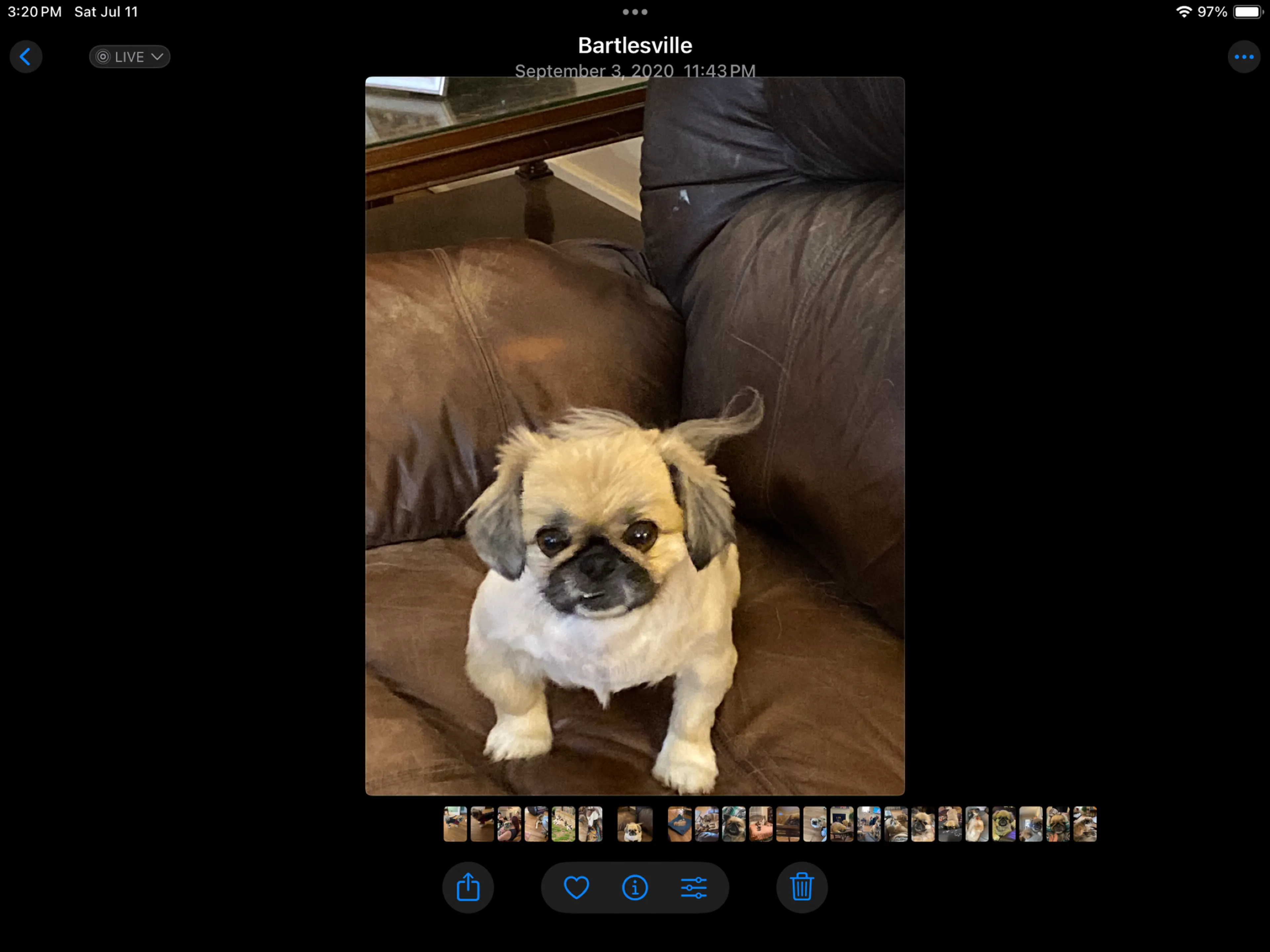 cdn image