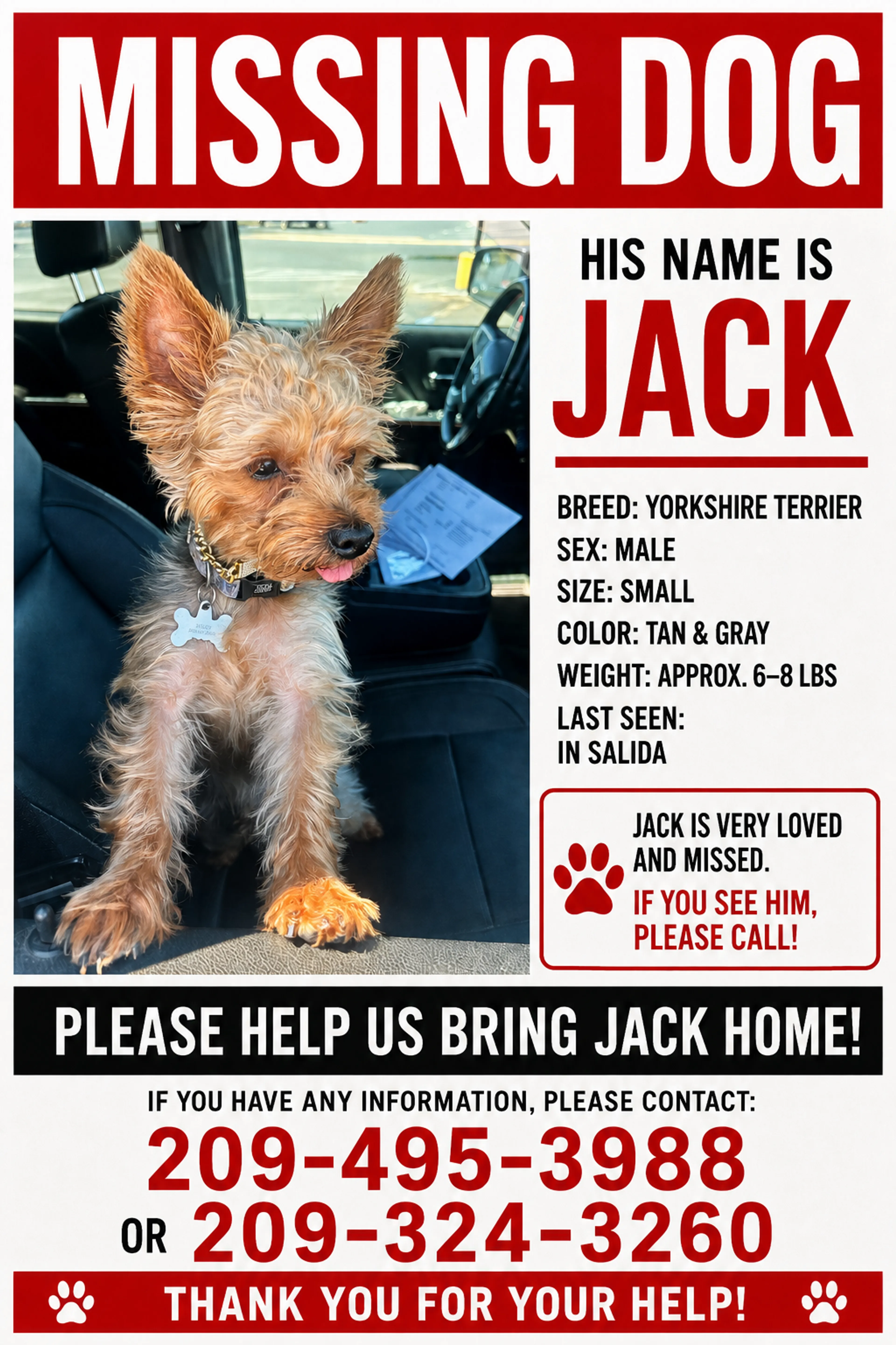 Lost pet