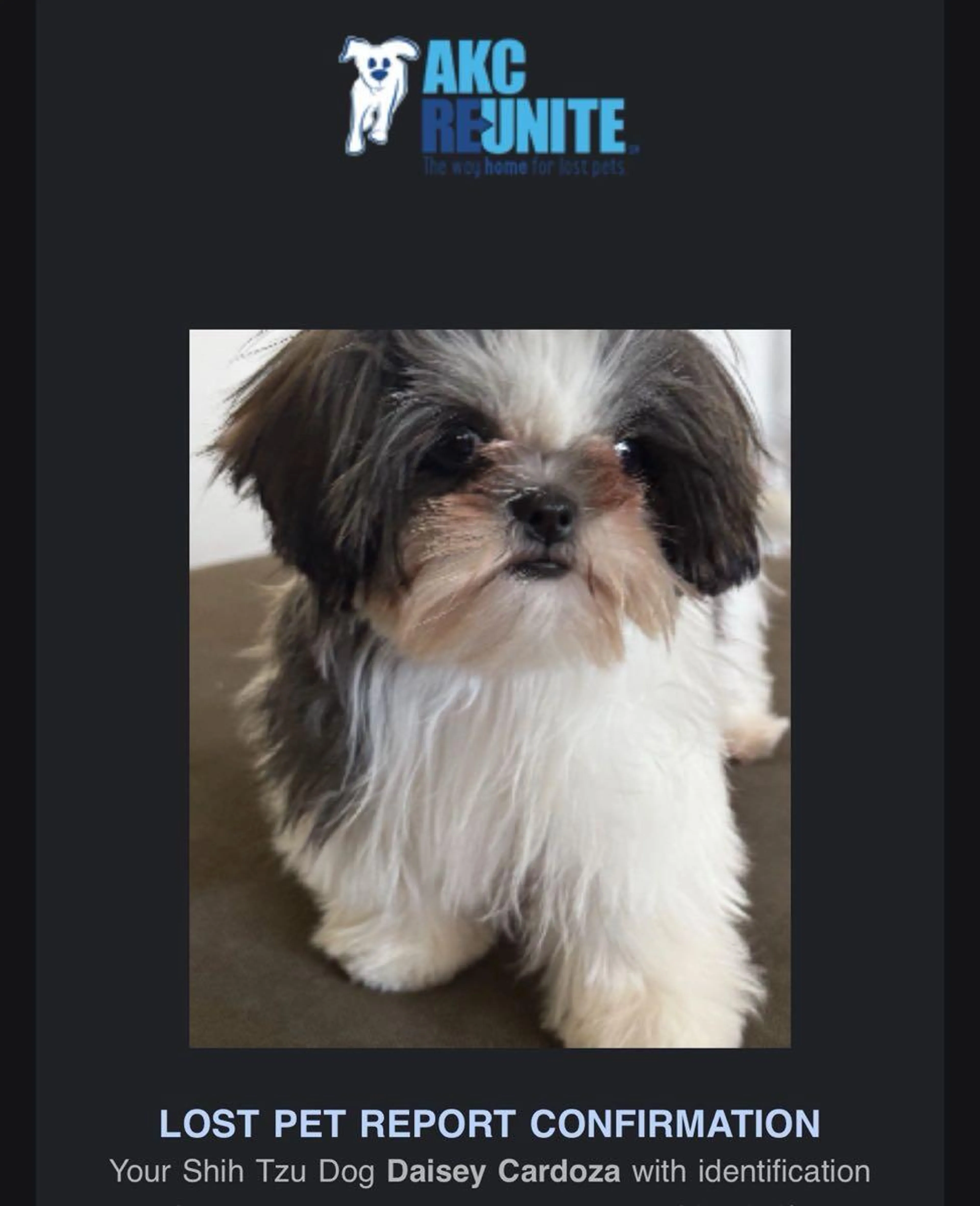 cdn image