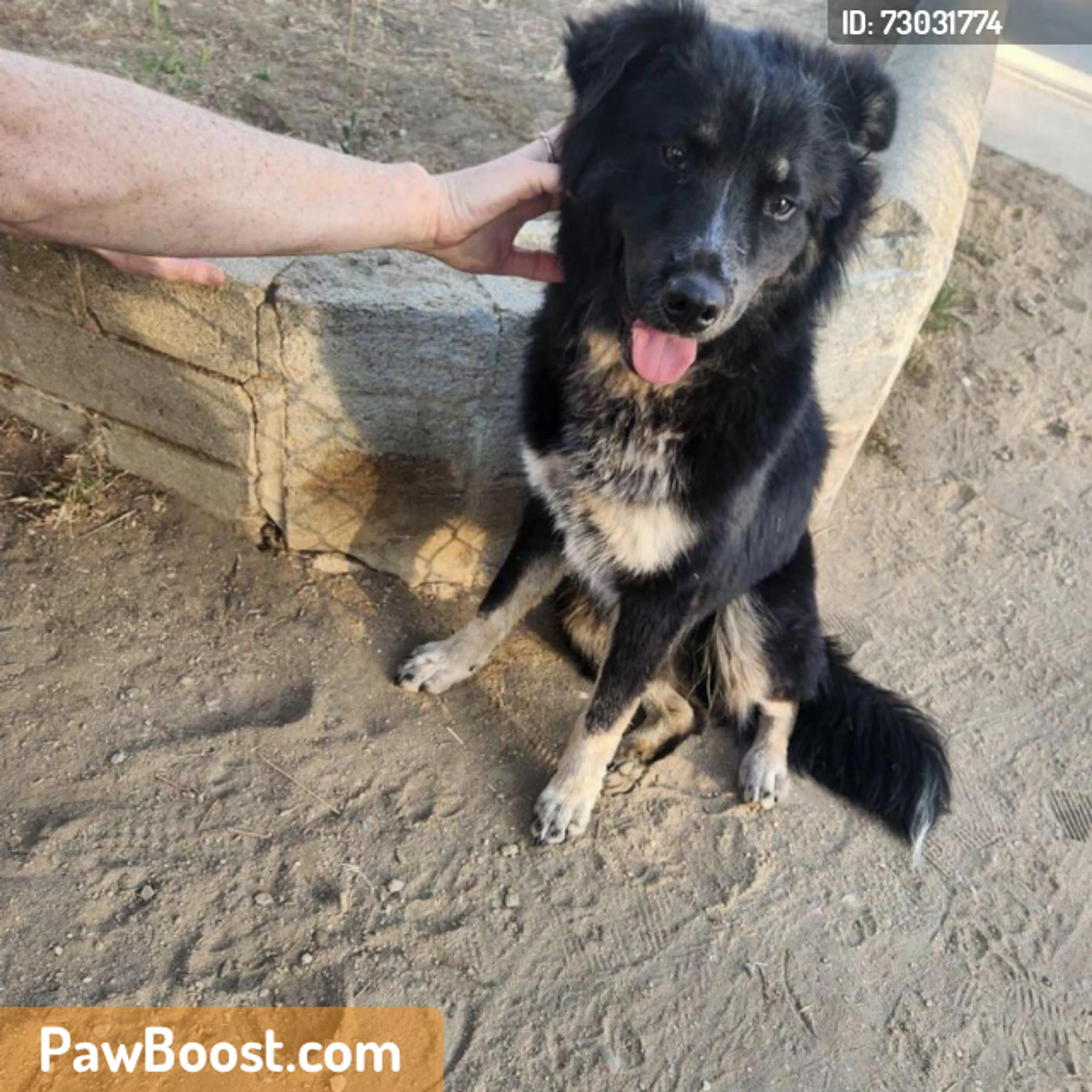 cdn image